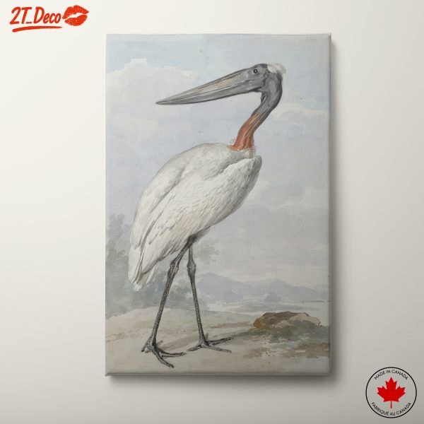 Elegant Bird Illustration in Soft Watercolors
