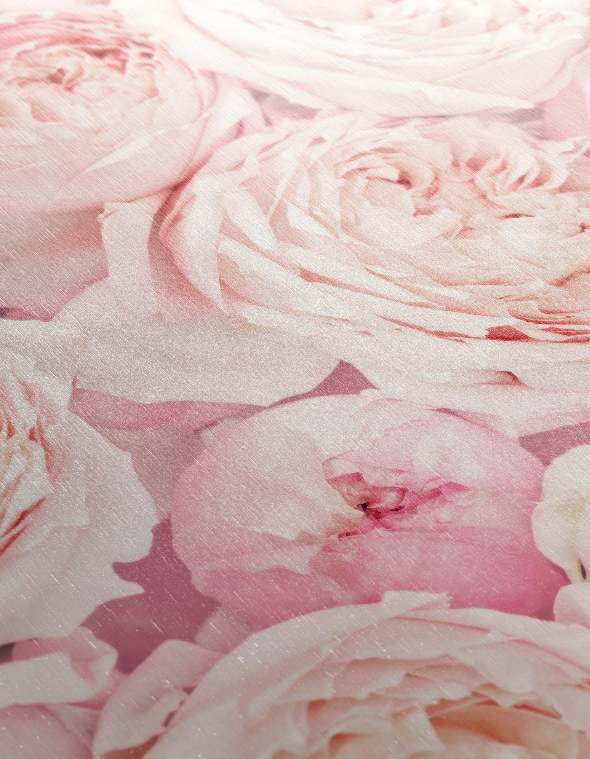 Beautiful Pink Roses Close-Up Art - Image 12