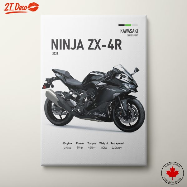 Kawasaki Ninja ZX-4R Motorcycle Art