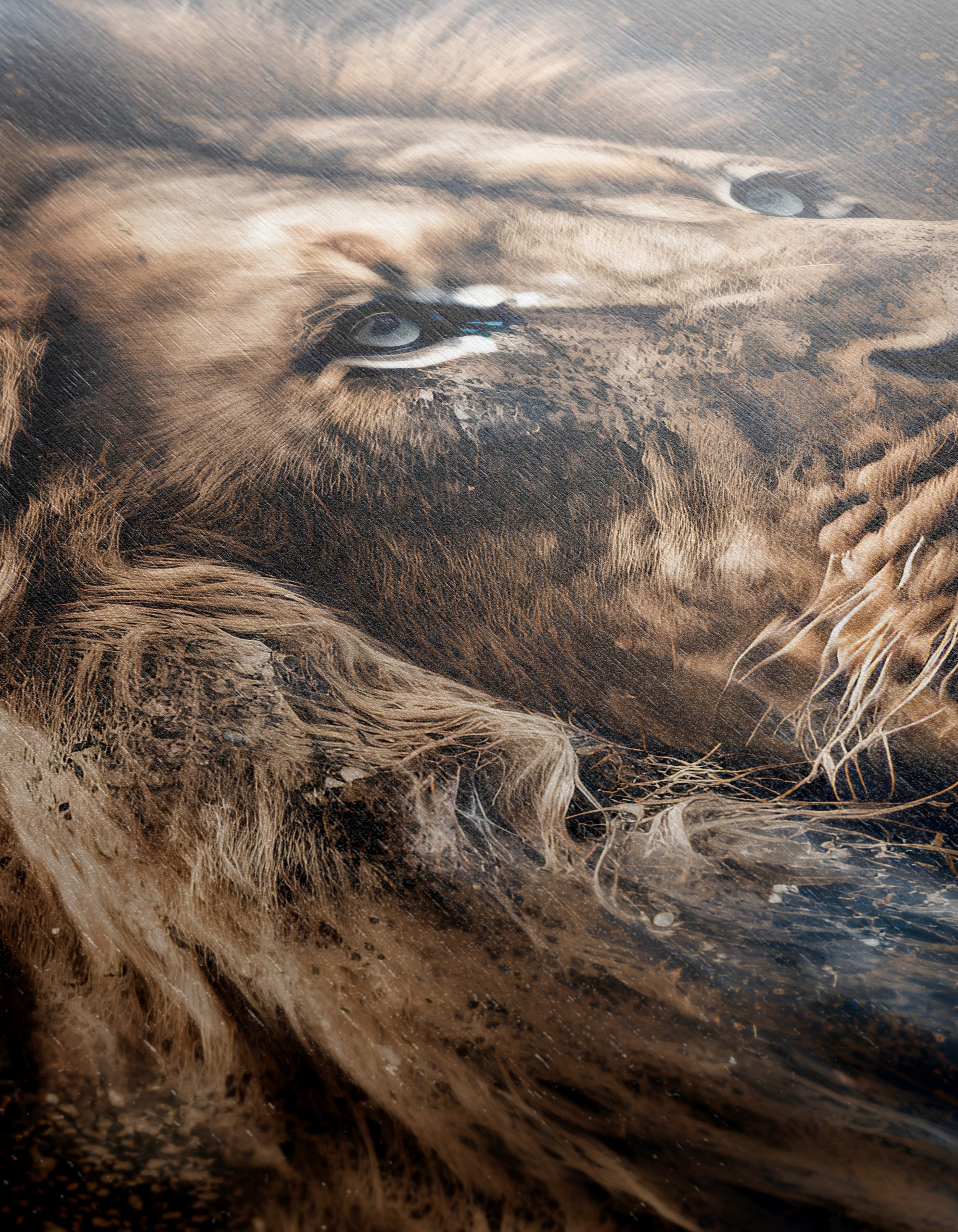 Majestic Lion Portrait Wall Art 11 - Image 12