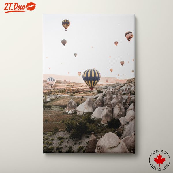 Hot Air Balloons Over Stunning Landscapes