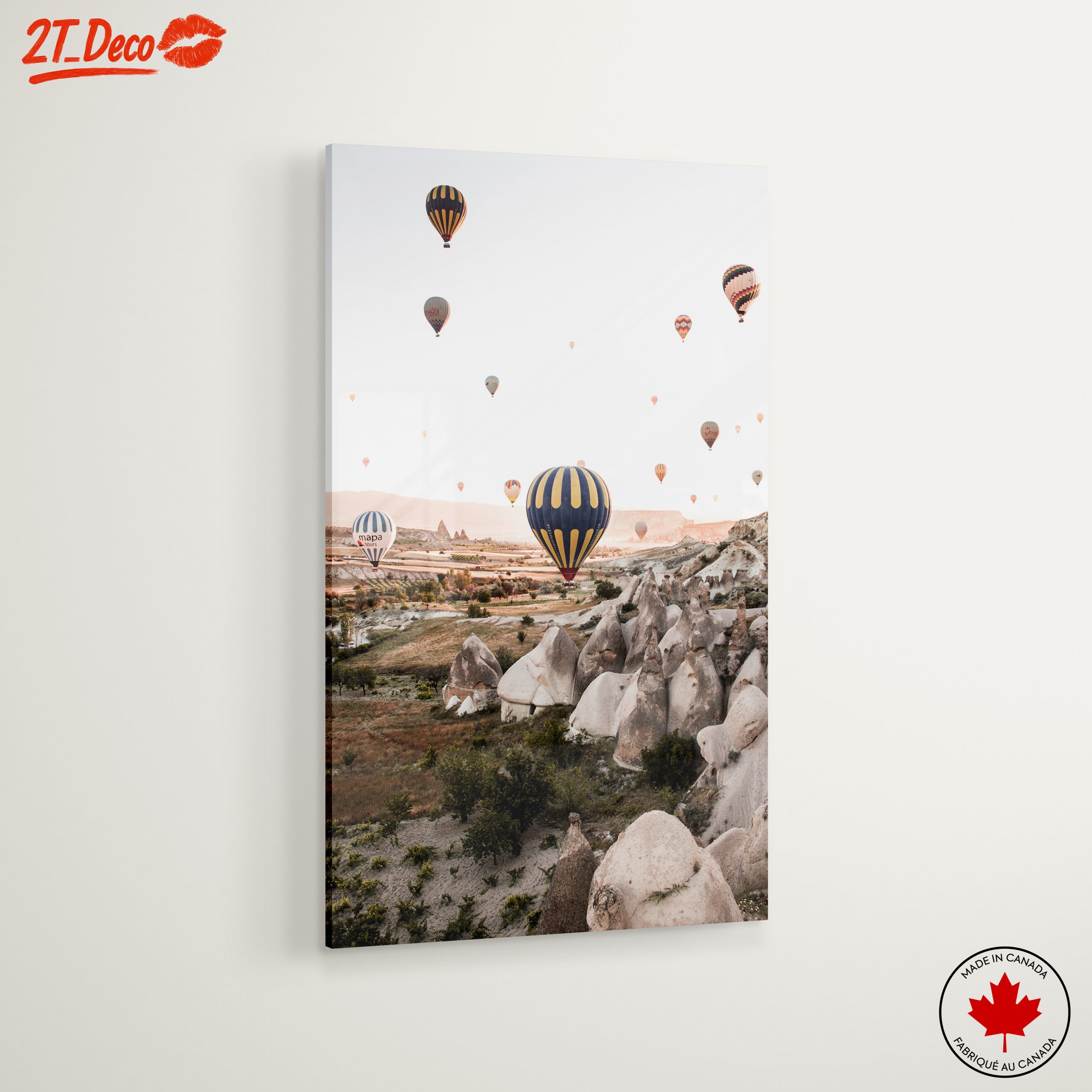 Hot Air Balloons Over Stunning Landscapes - Image 6