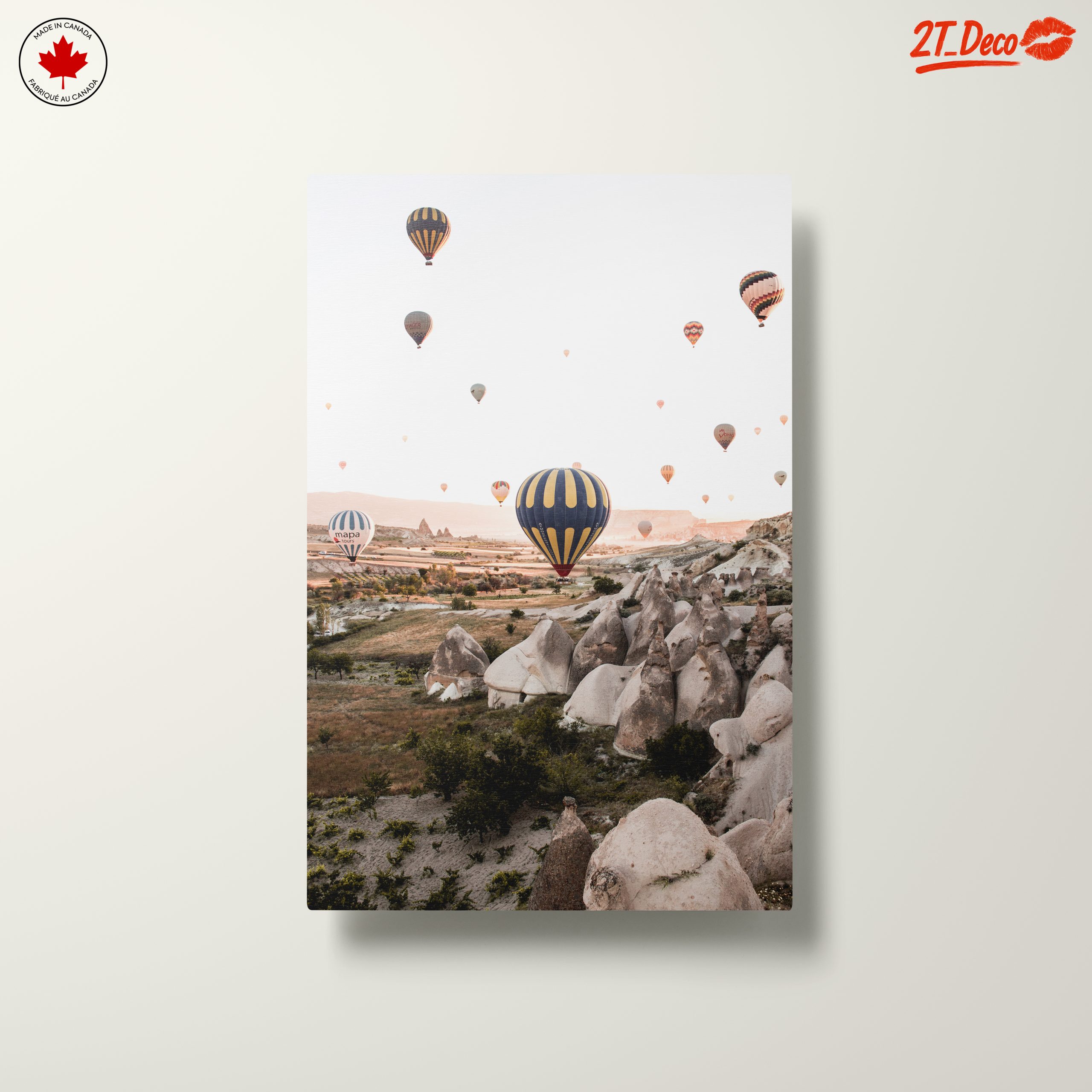 Hot Air Balloons Over Stunning Landscapes - Image 10