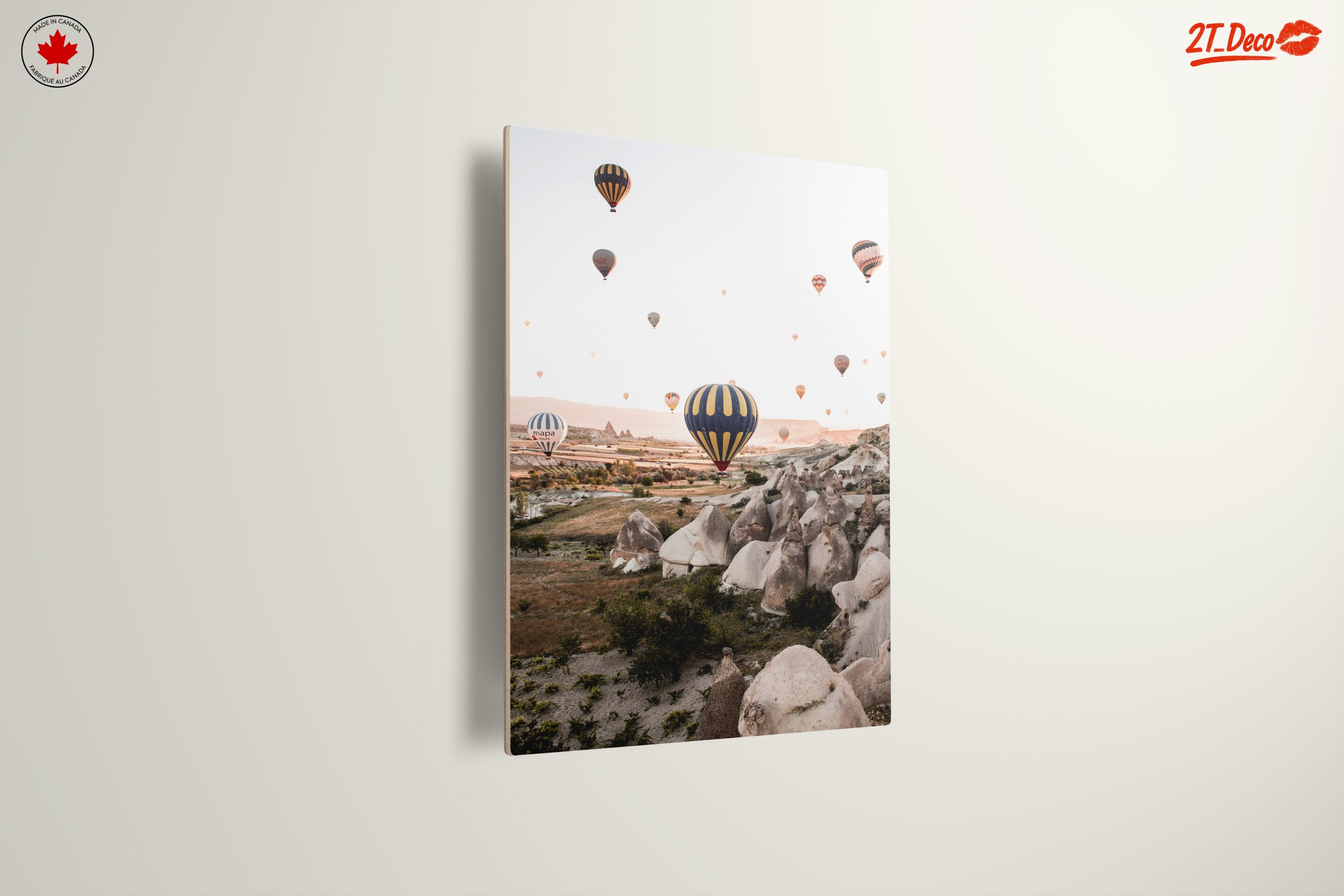 Hot Air Balloons Over Stunning Landscapes - Image 13