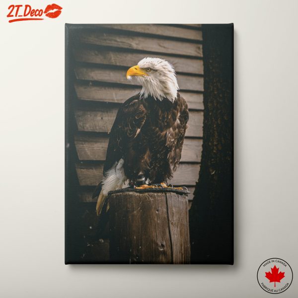 Majestic Eagle Wall Art