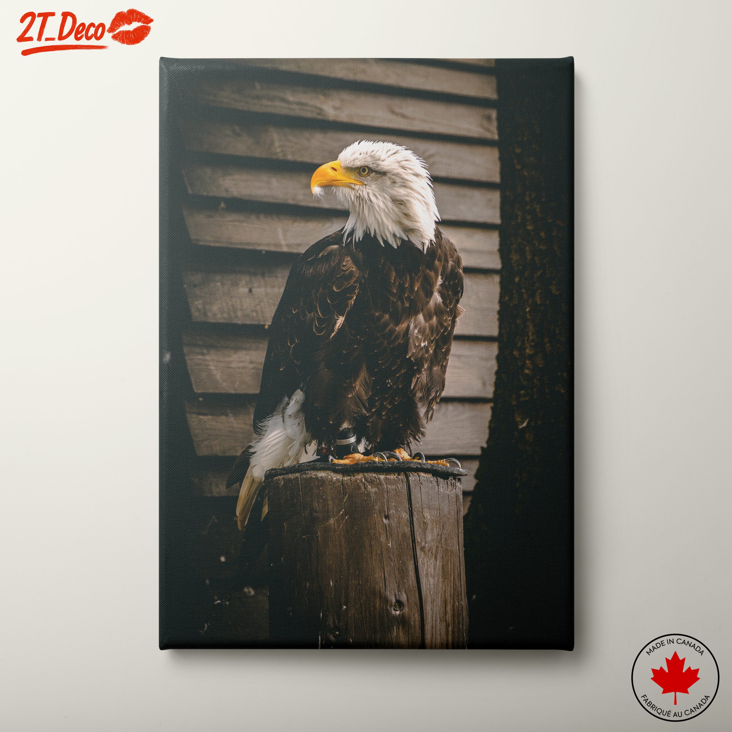 Majestic Eagle Wall Art