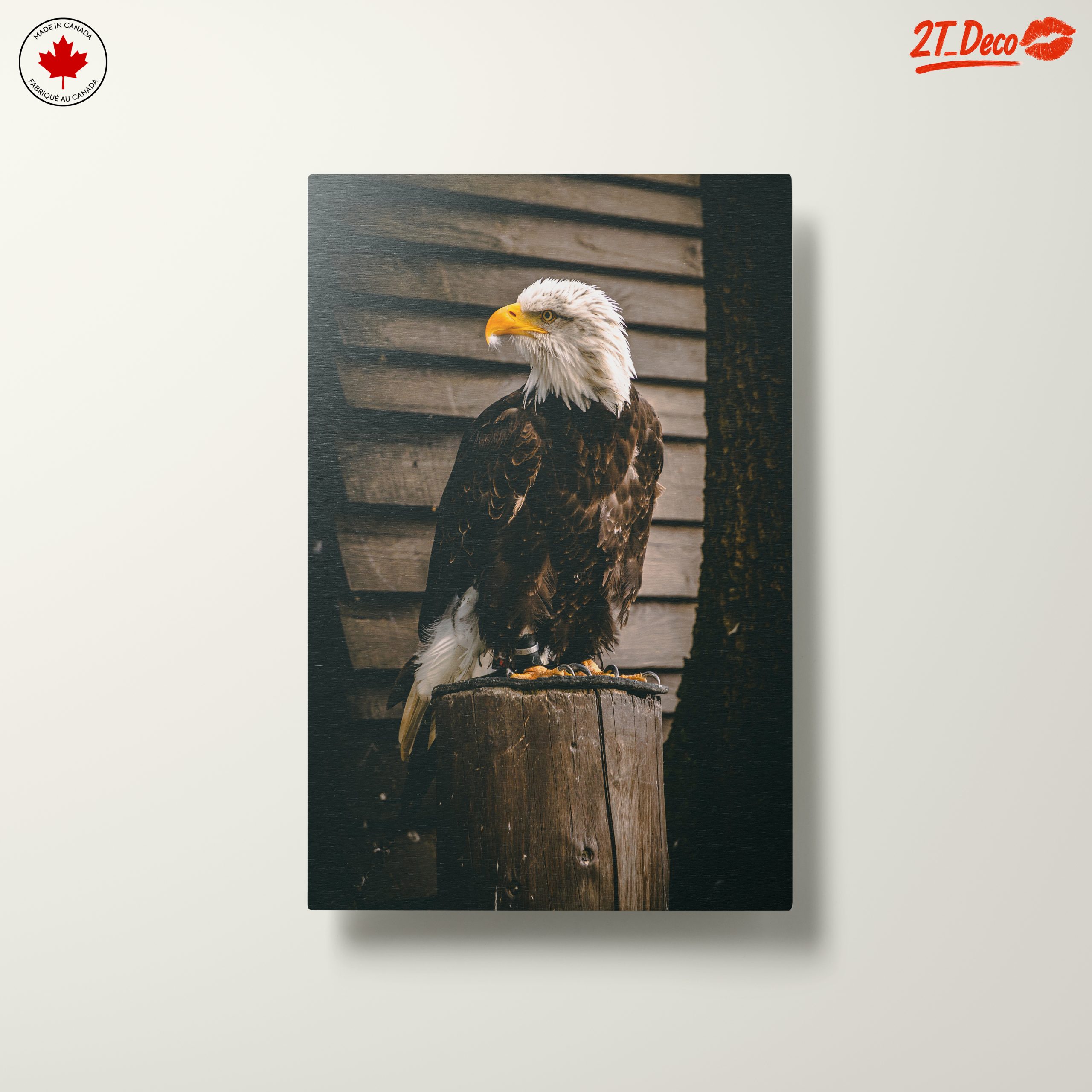 Majestic Eagle Wall Art - Image 10