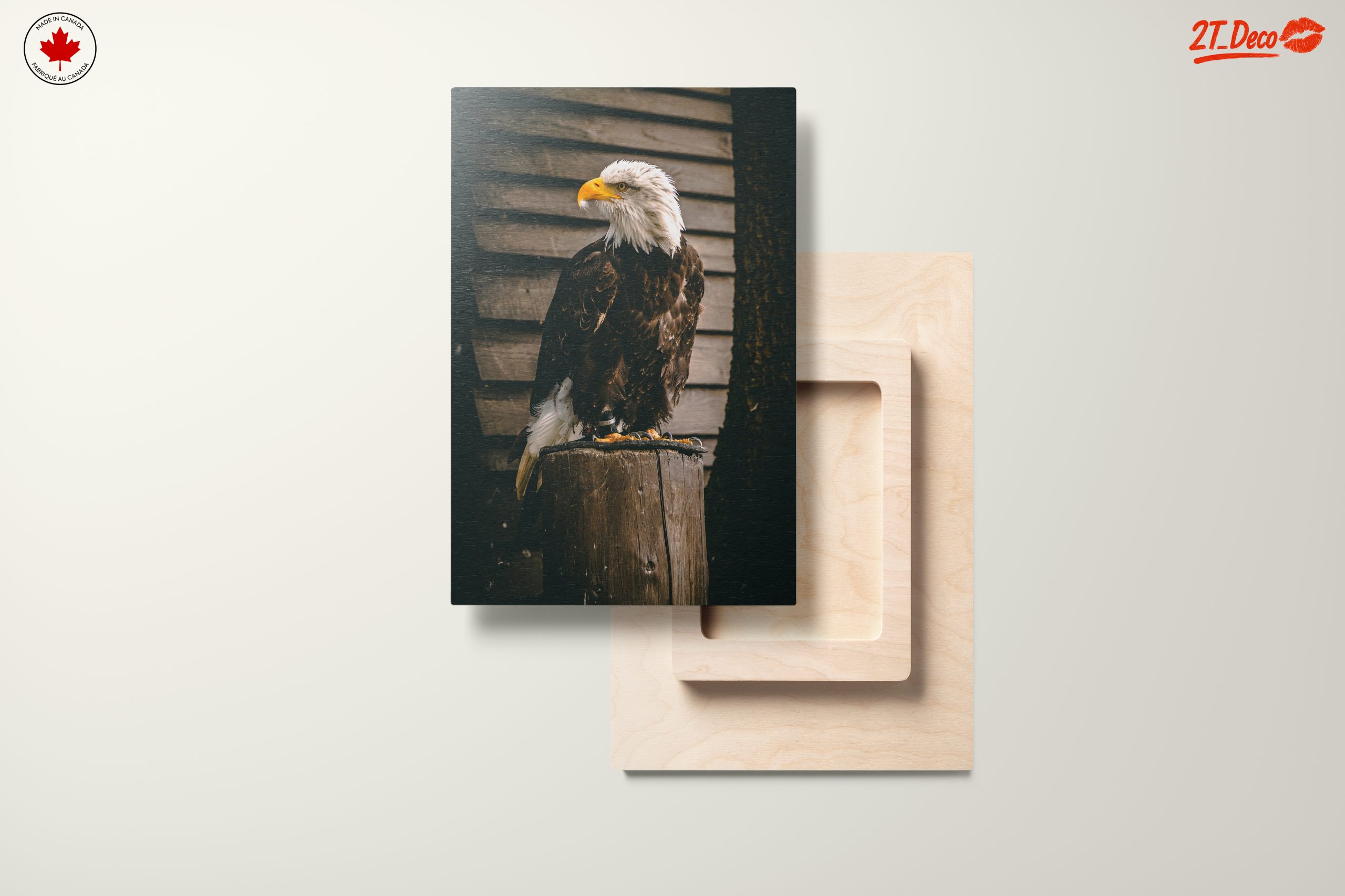 Majestic Eagle Wall Art - Image 11