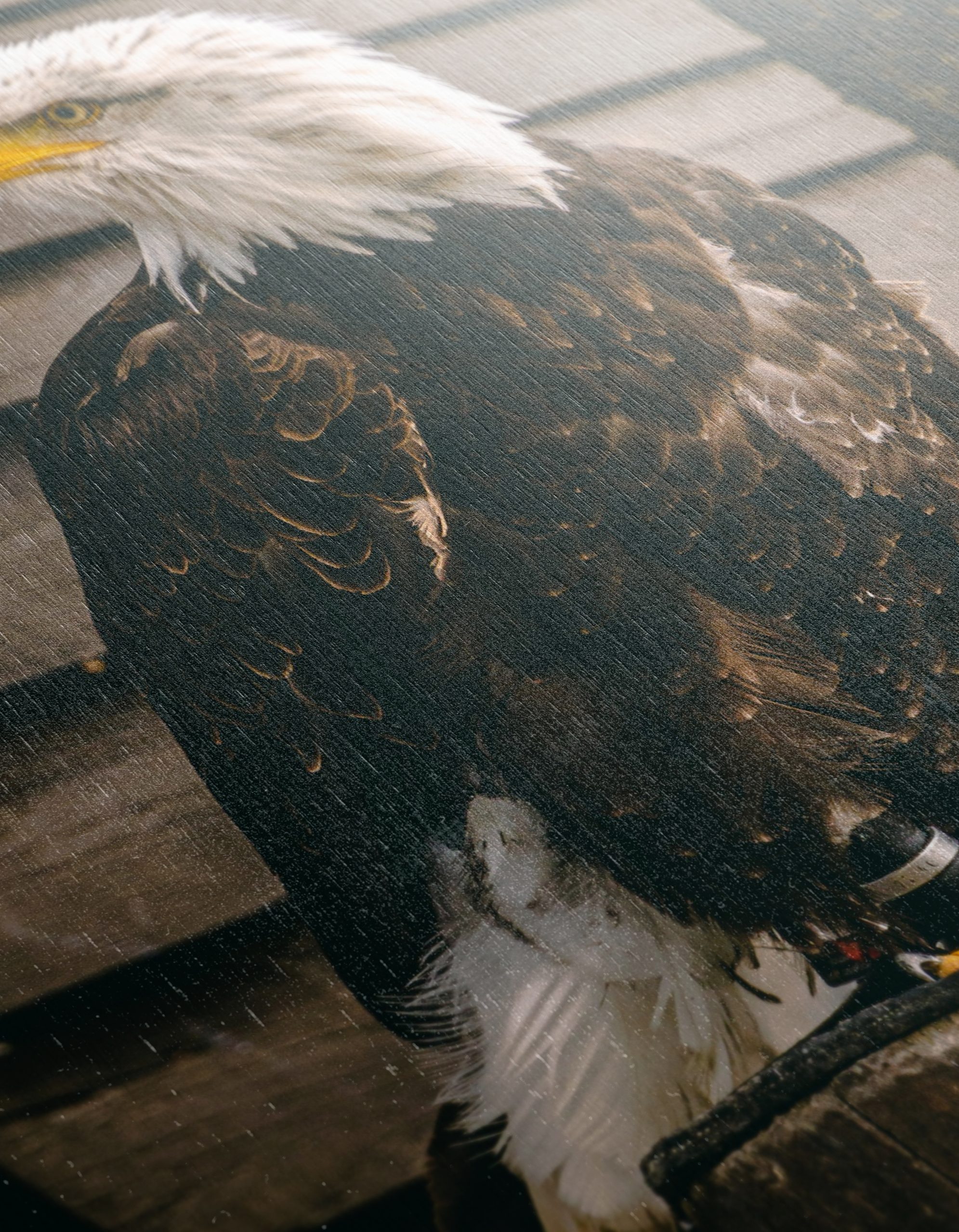 Majestic Eagle Wall Art - Image 12