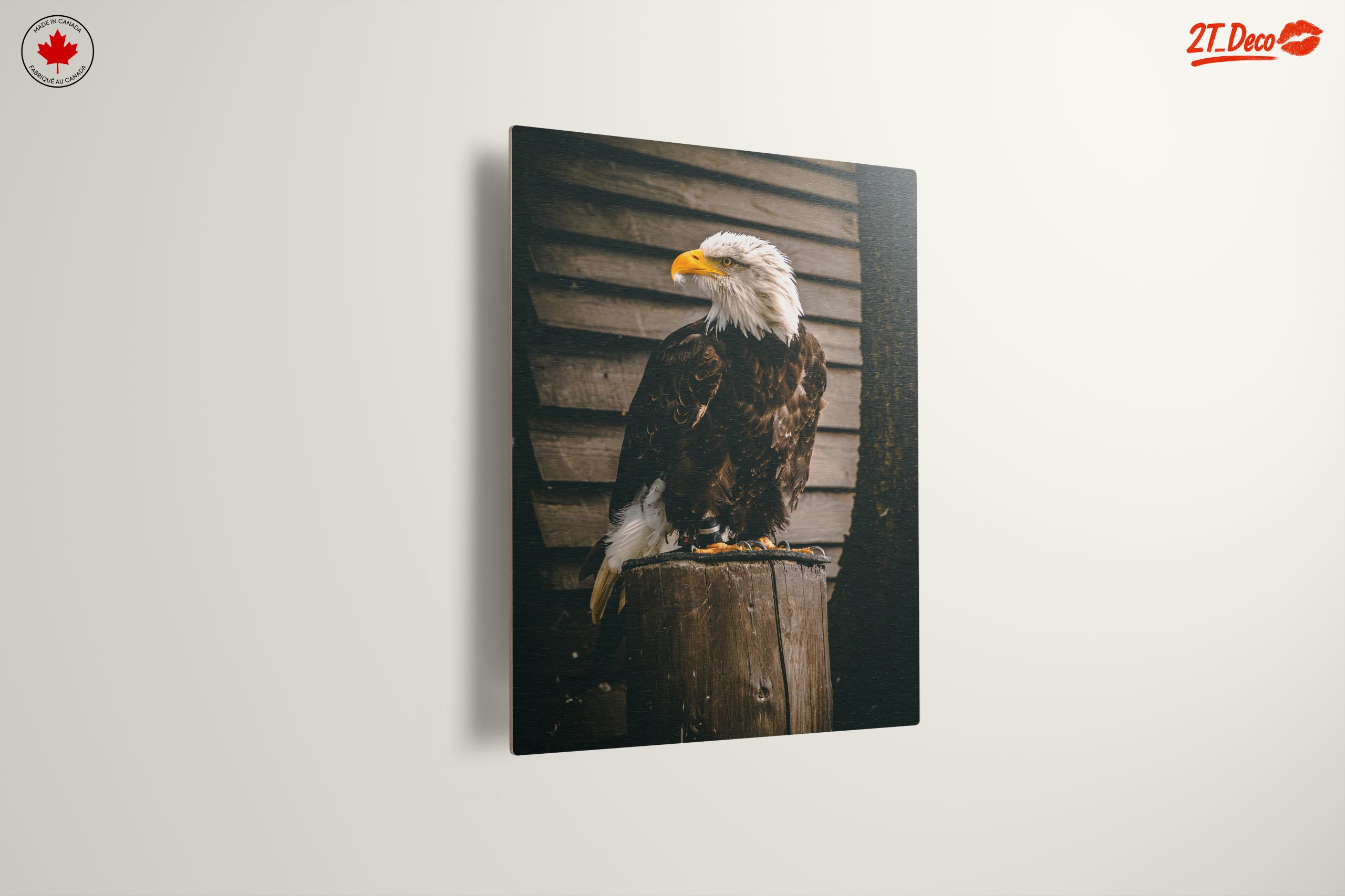 Majestic Eagle Wall Art - Image 13