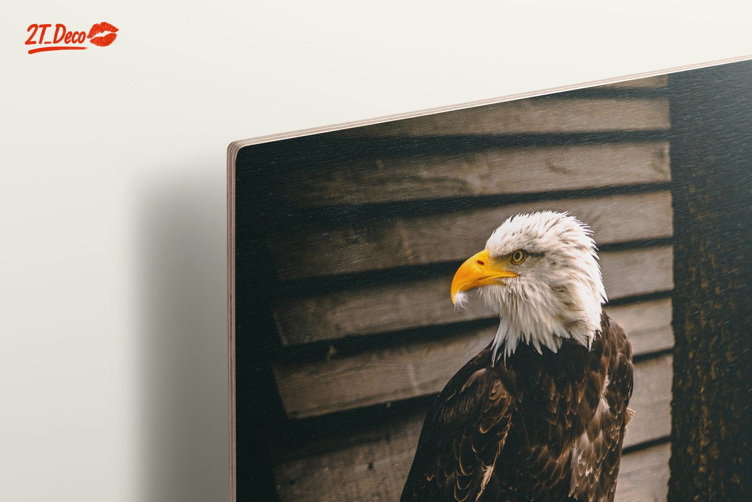 Majestic Eagle Wall Art - Image 15