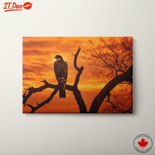 Majestic Eagle on a Branch at Sunset