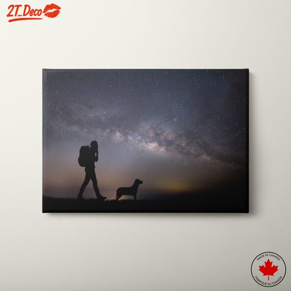Silhouette of a Hiker and Dog Under the Stars