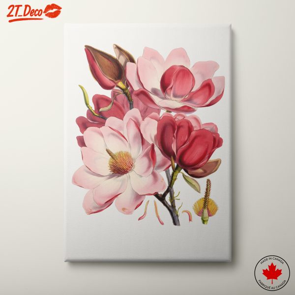 Beautiful Floral Artwork of Magnolias