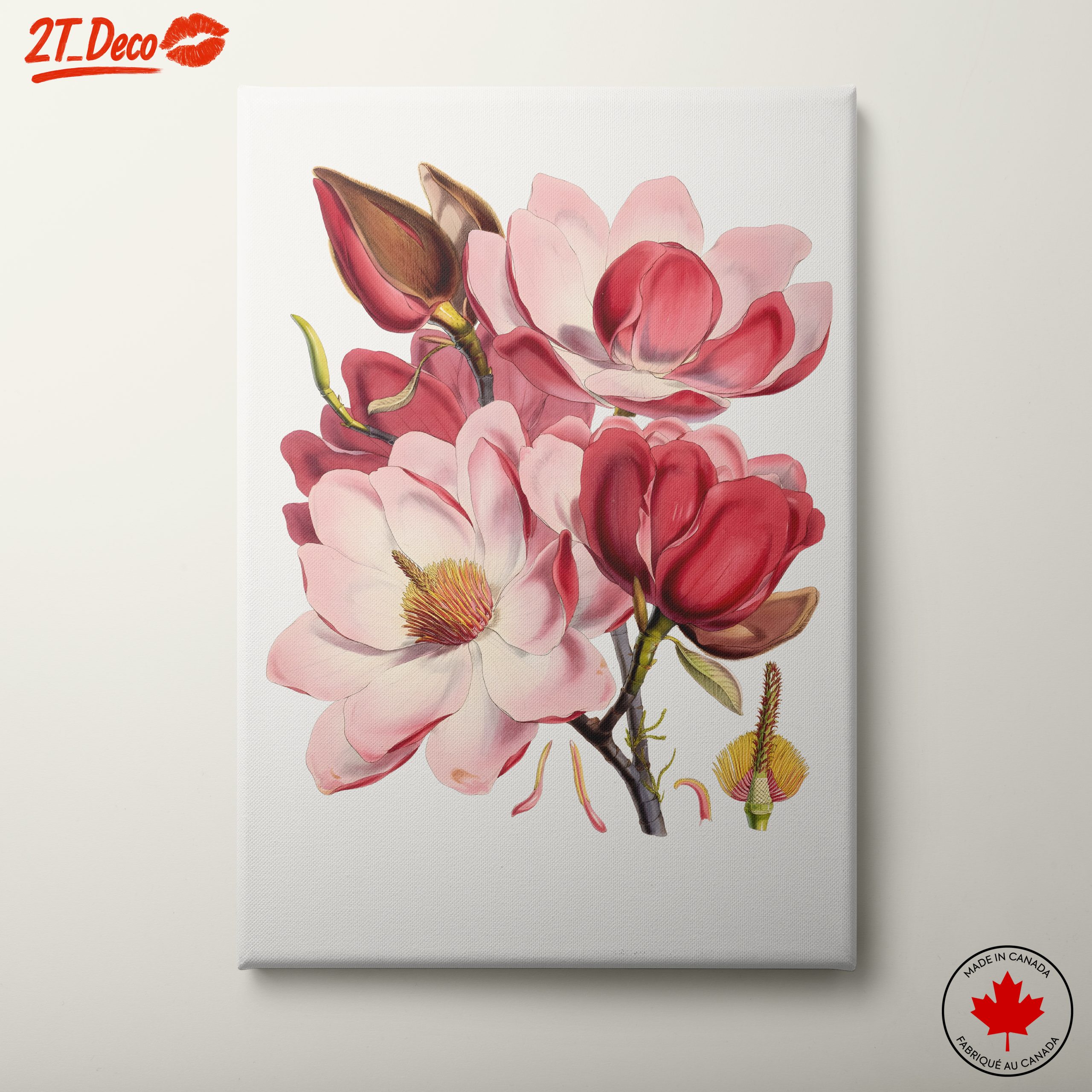 Beautiful Floral Artwork of Magnolias