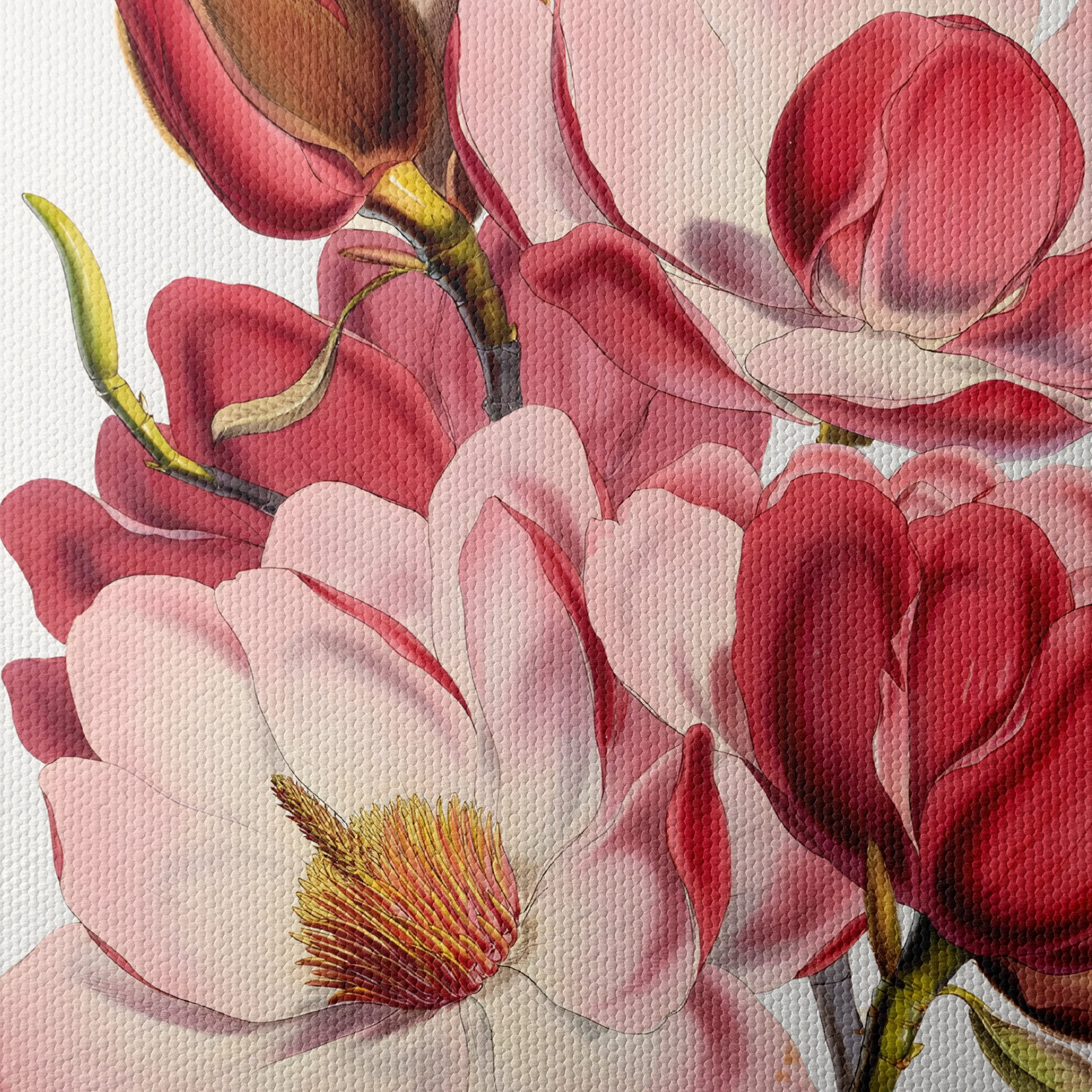 Beautiful Floral Artwork of Magnolias - Image 4