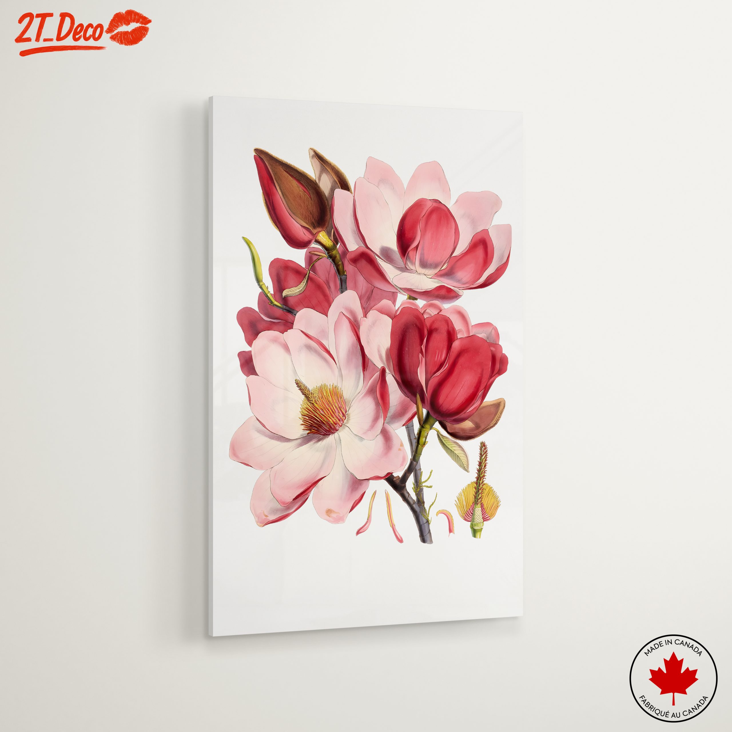 Beautiful Floral Artwork of Magnolias - Image 6