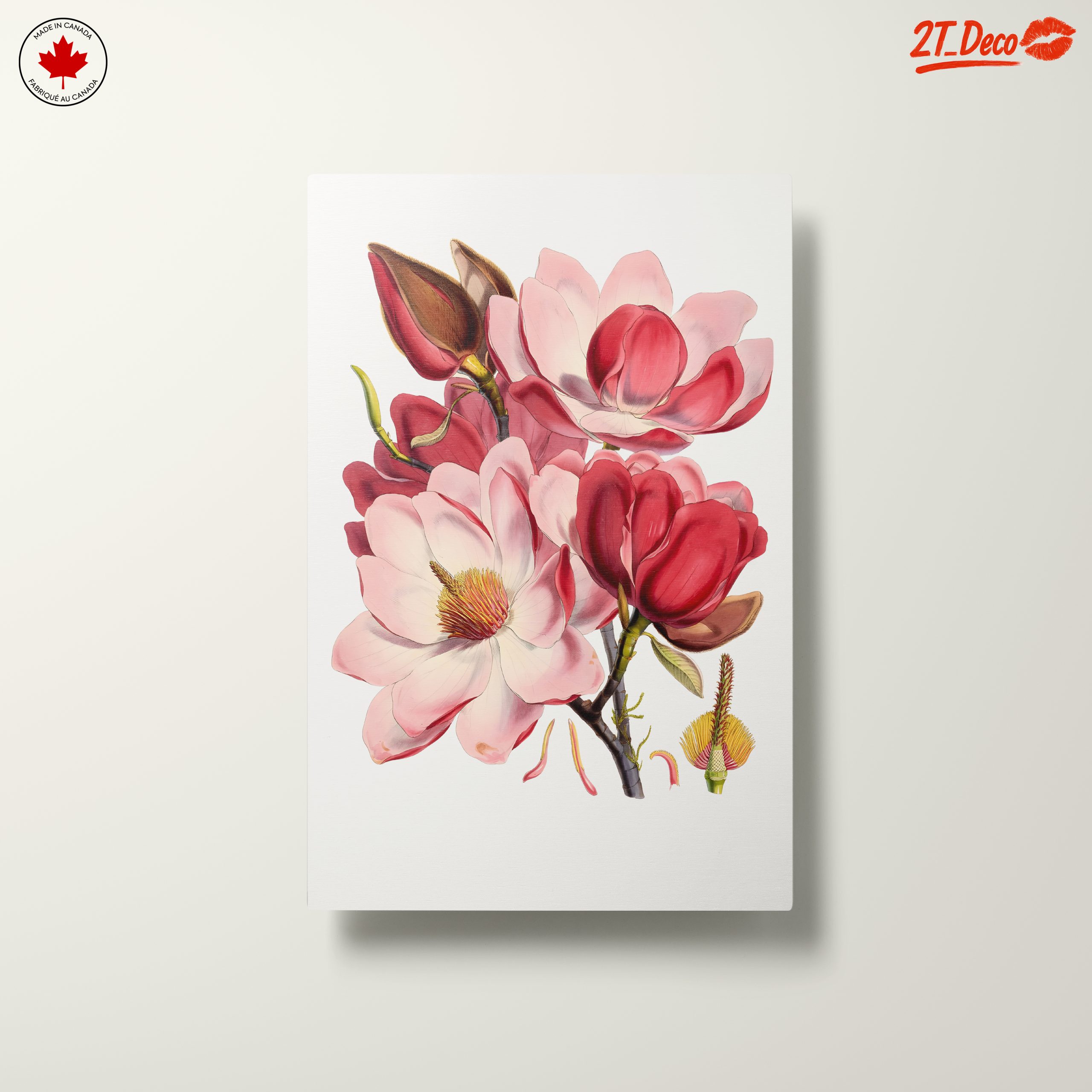 Beautiful Floral Artwork of Magnolias - Image 10