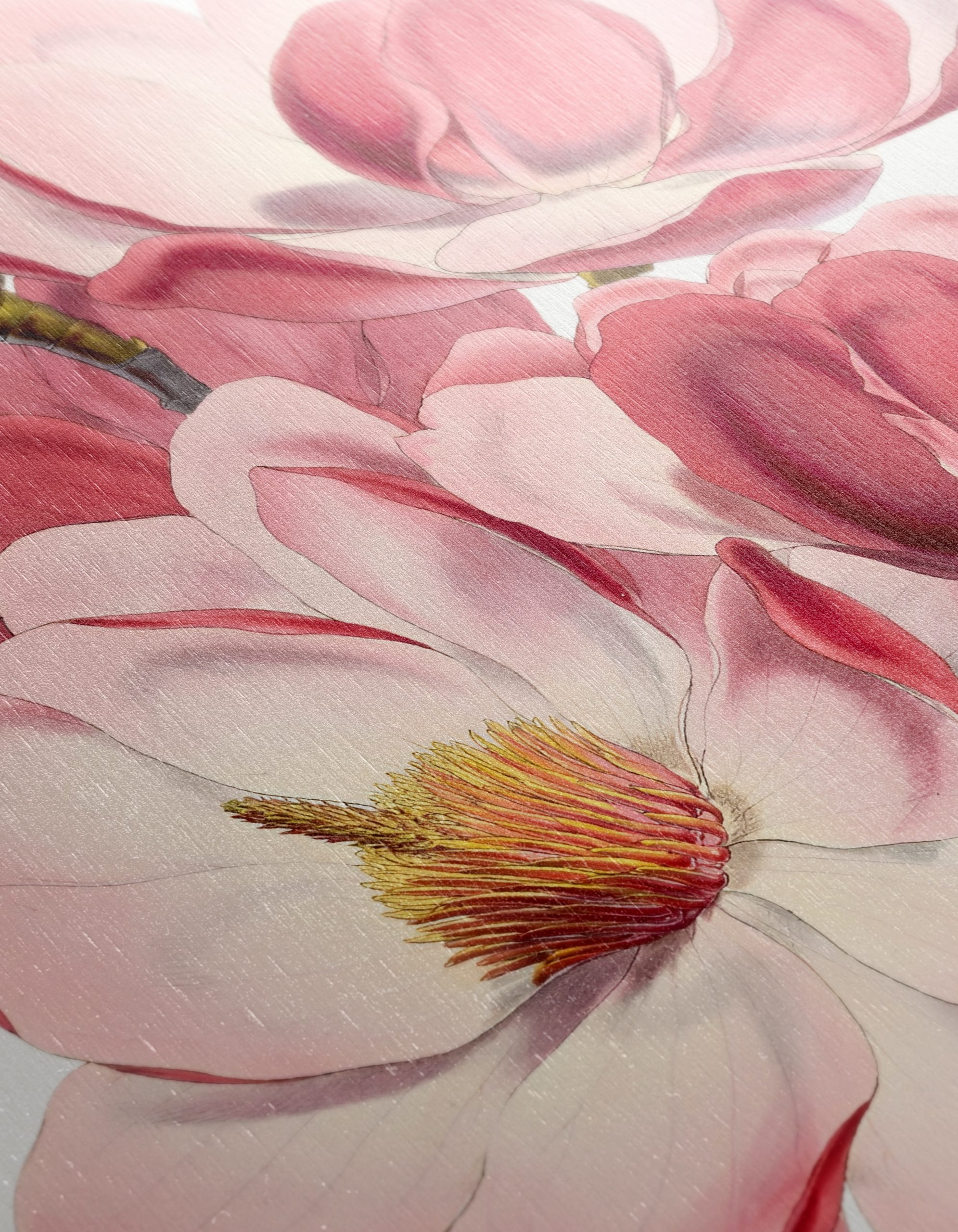 Beautiful Floral Artwork of Magnolias - Image 12