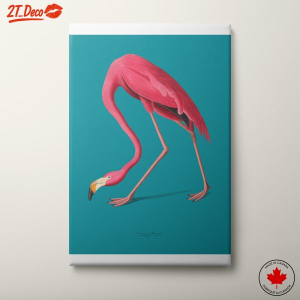 Colorful Flamingo Artwork