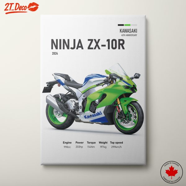 2024 Kawasaki Ninja ZX-10R Motorcycle