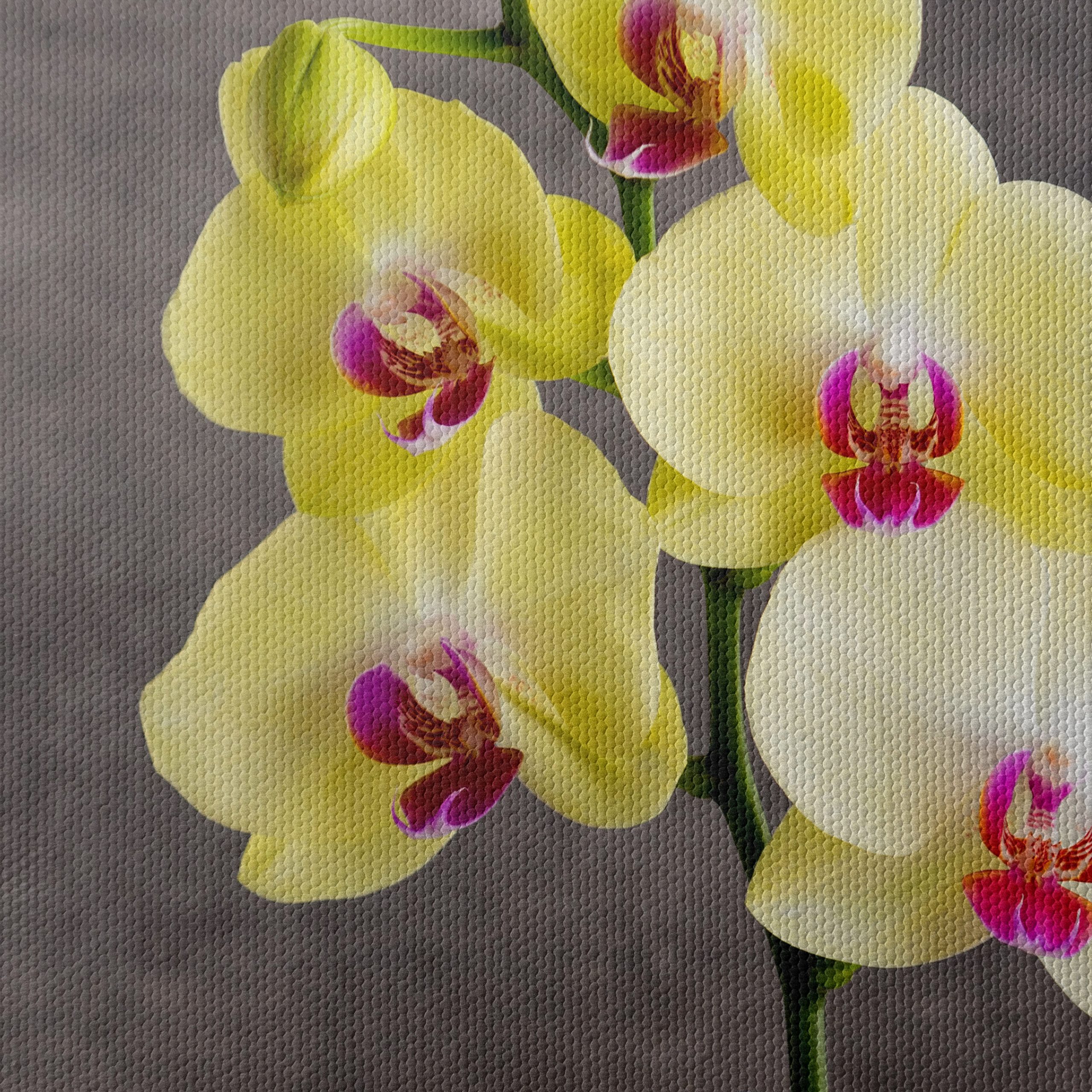 Elegant Orchids in Bright Yellow Pot - Image 4