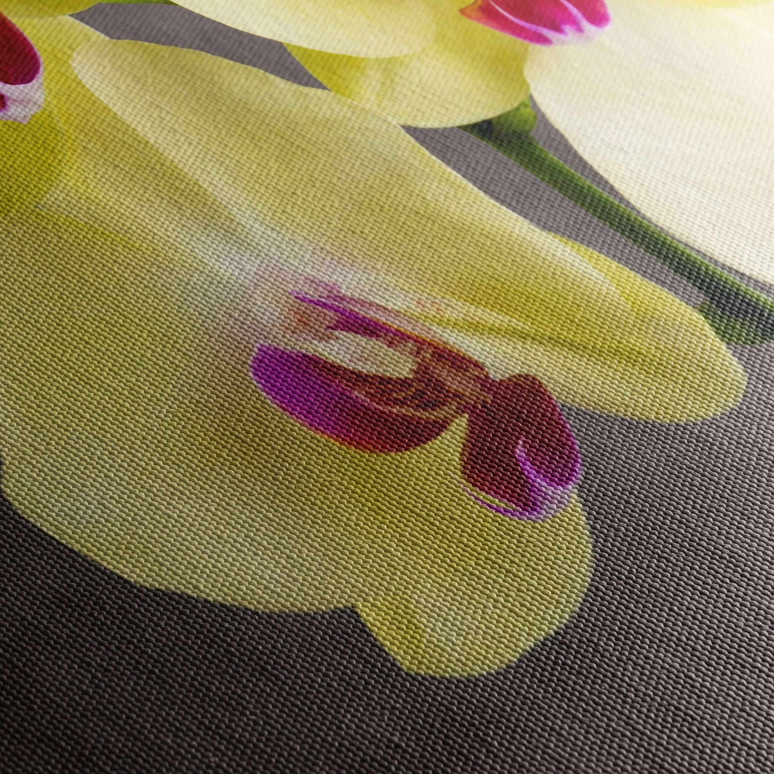 Elegant Orchids in Bright Yellow Pot - Image 5