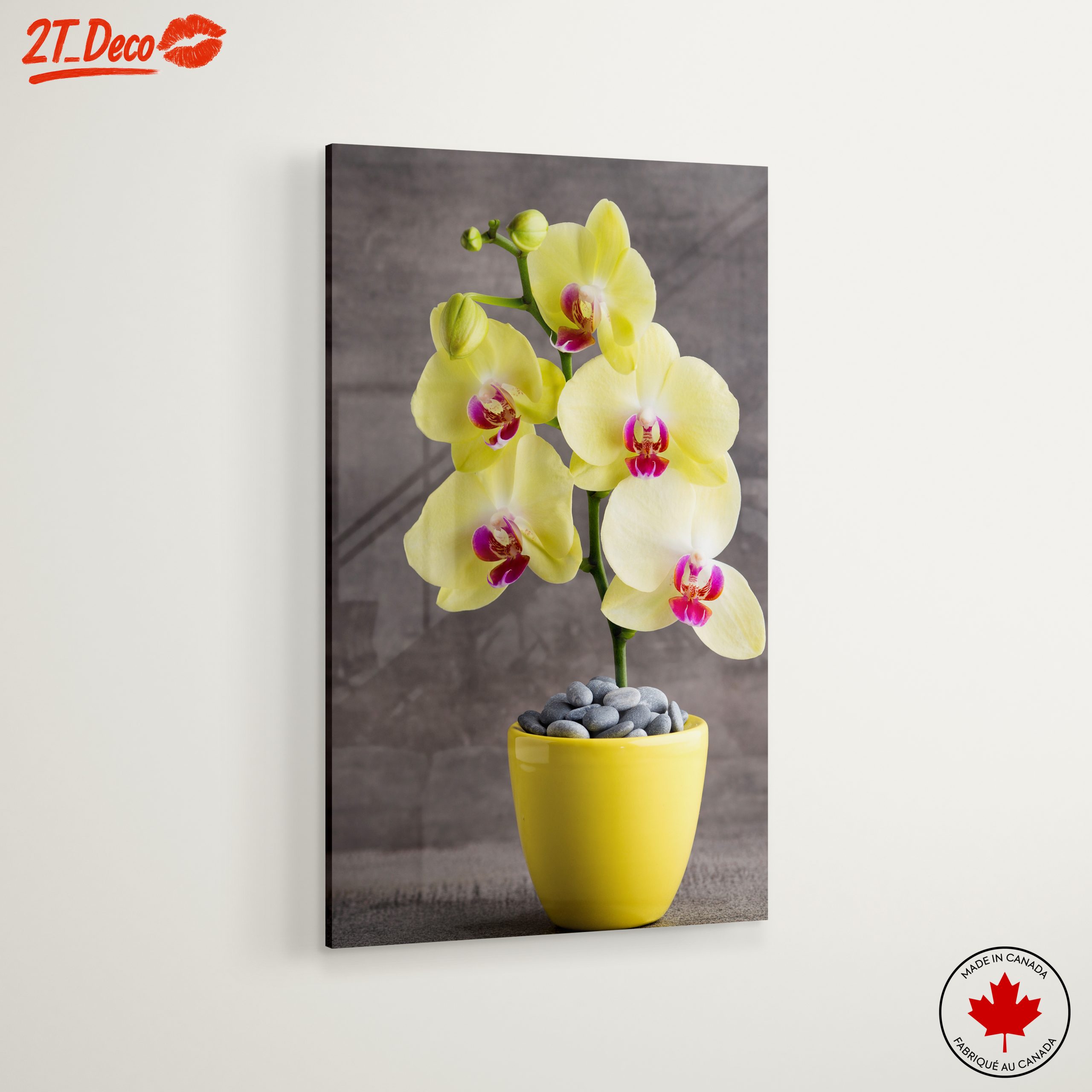 Elegant Orchids in Bright Yellow Pot - Image 6