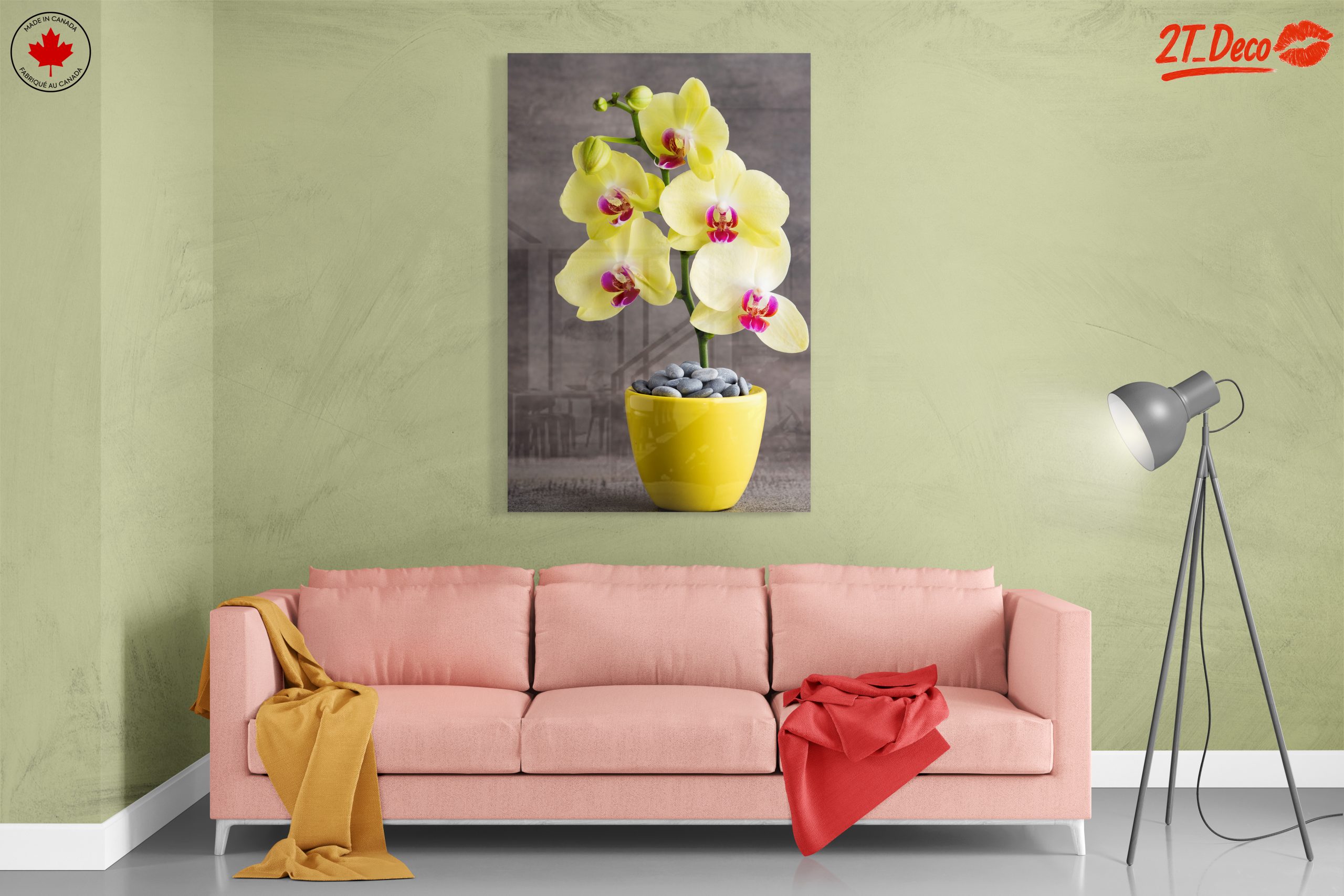 Elegant Orchids in Bright Yellow Pot - Image 7