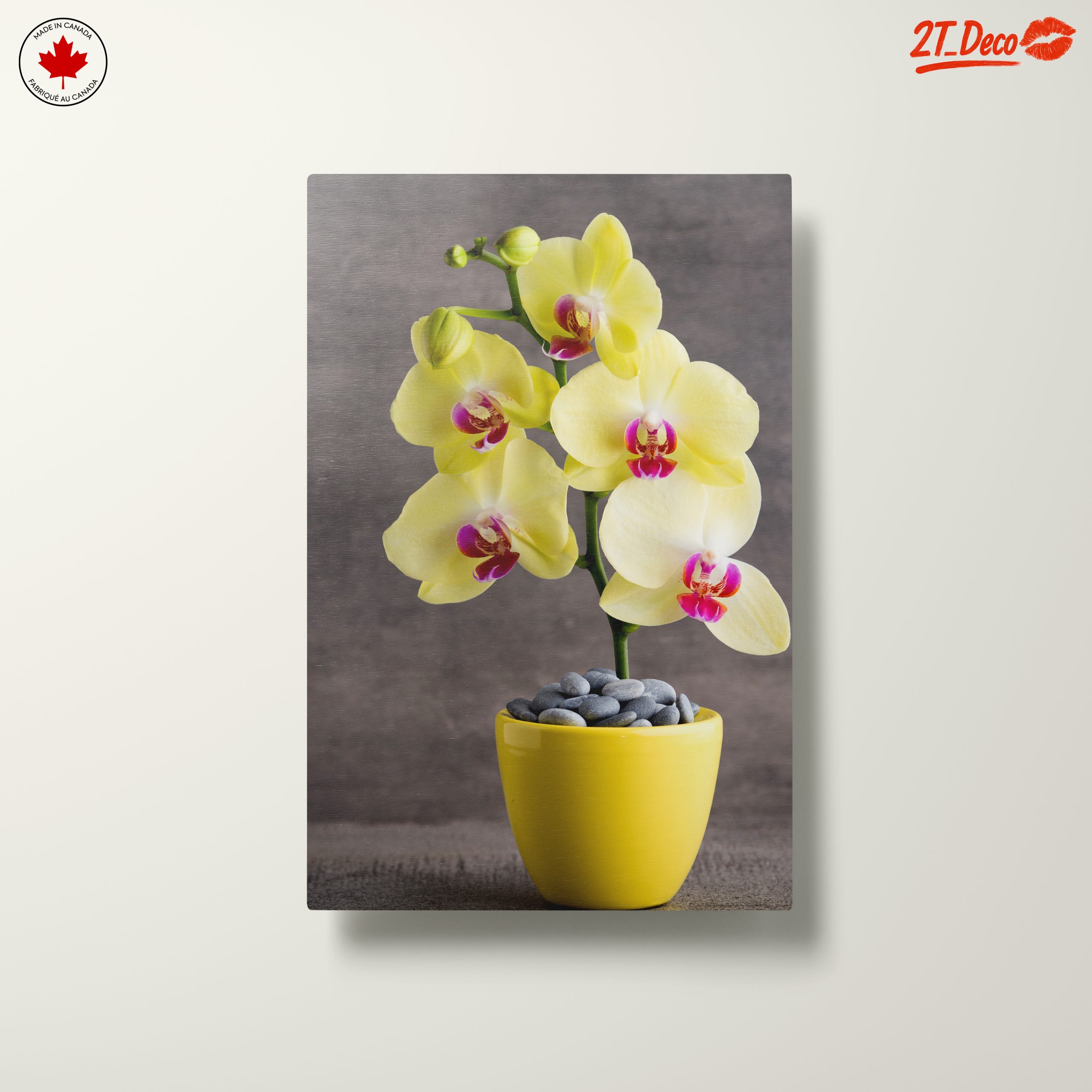 Elegant Orchids in Bright Yellow Pot - Image 10