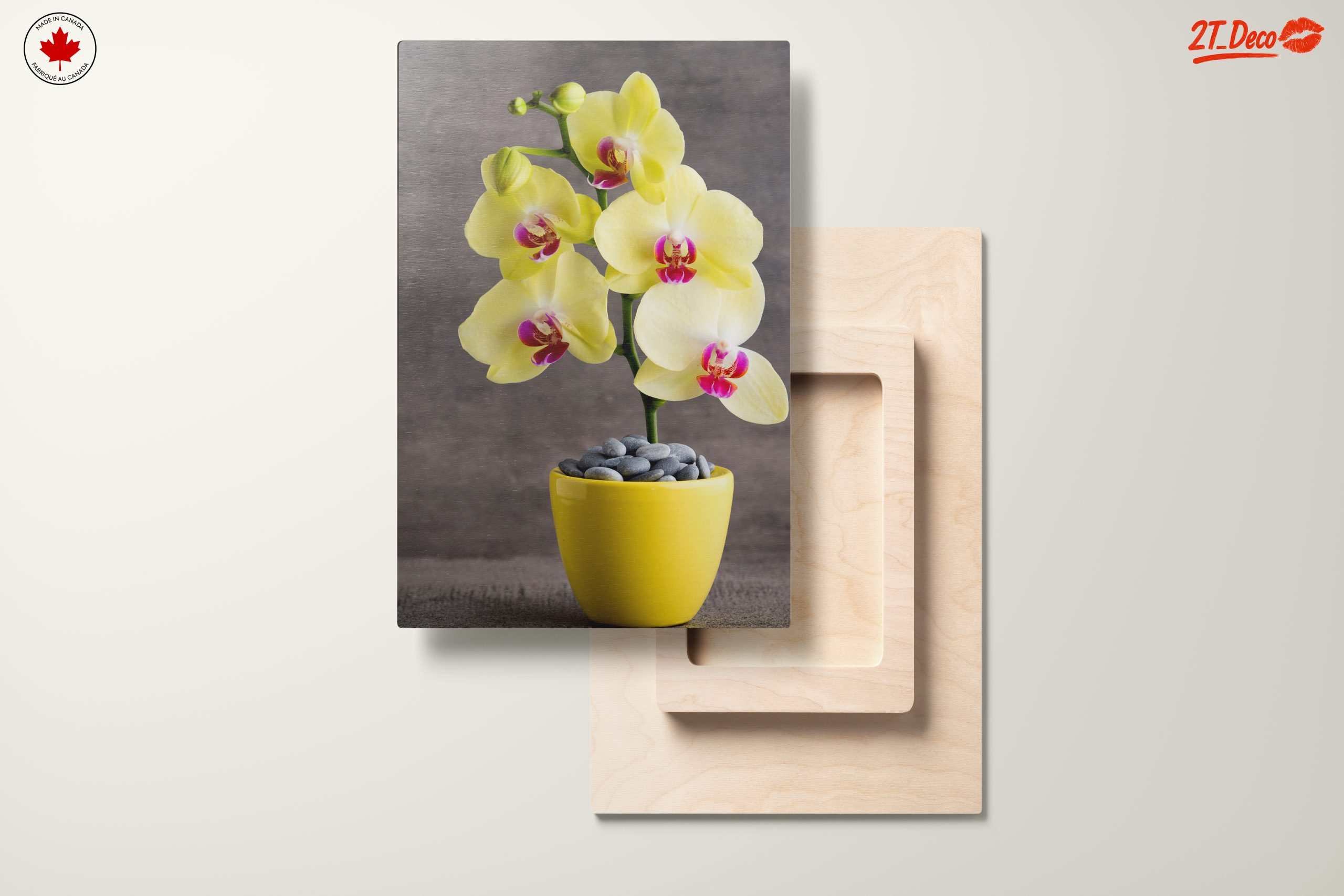 Elegant Orchids in Bright Yellow Pot - Image 11