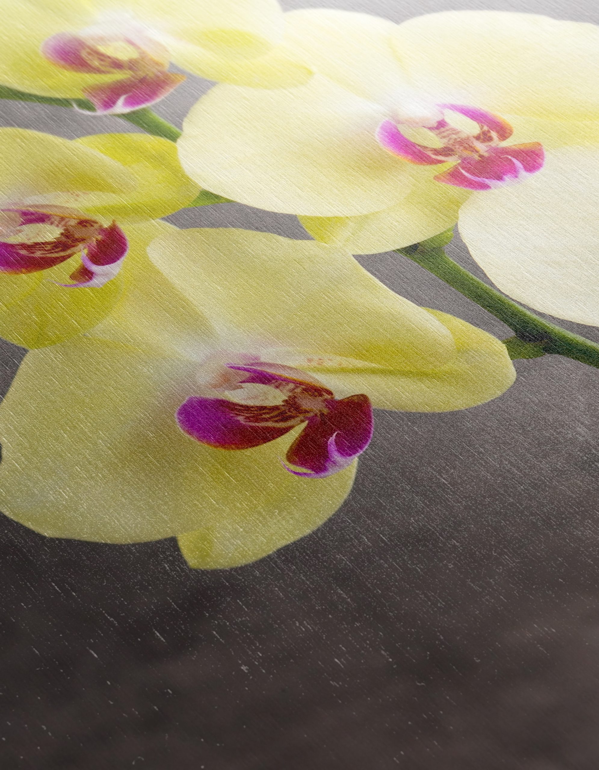 Elegant Orchids in Bright Yellow Pot - Image 12