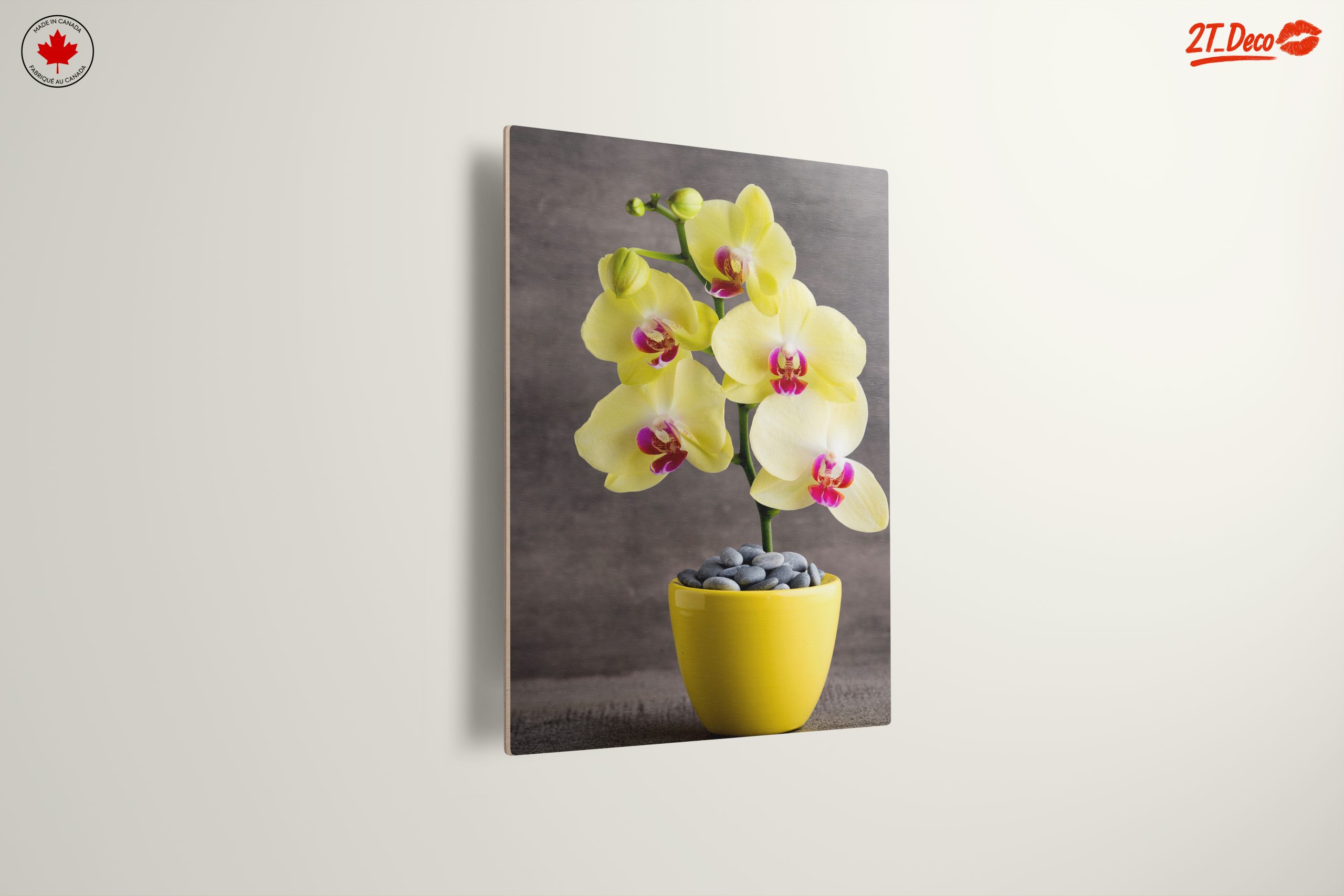Elegant Orchids in Bright Yellow Pot - Image 13