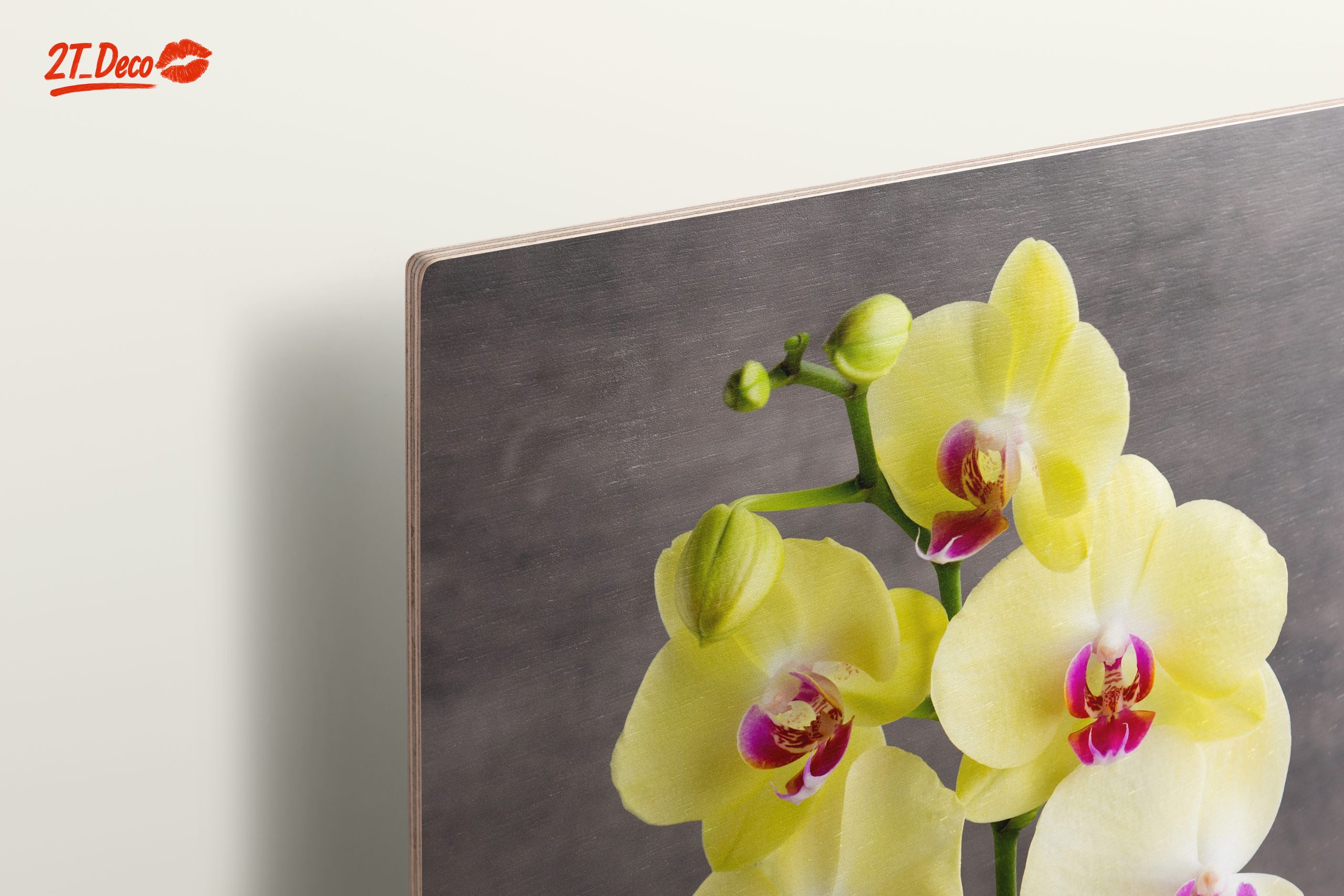 Elegant Orchids in Bright Yellow Pot - Image 15