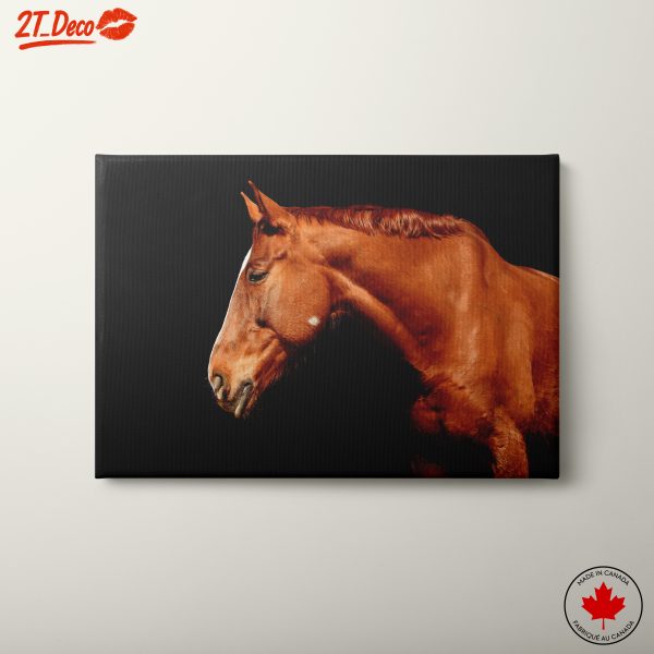 Majestic Horse Wall Art 2