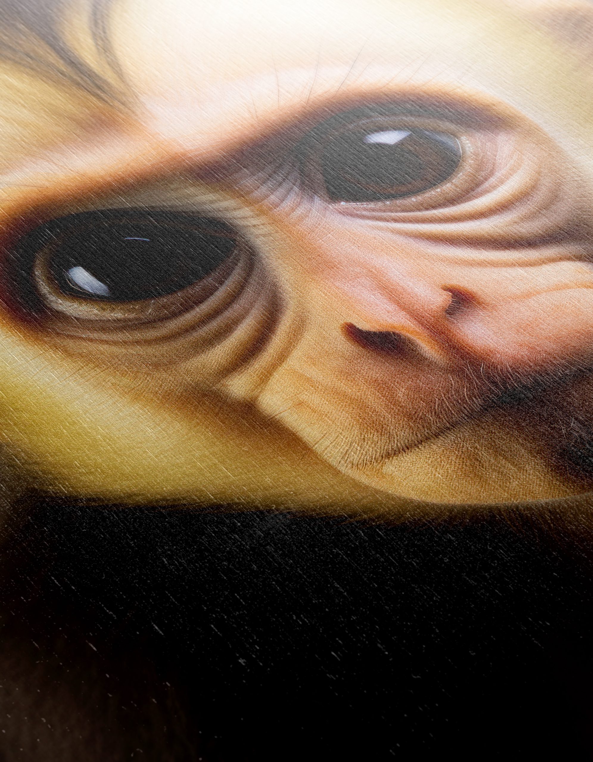 Stunning Monkey Portrait Wall Art - Image 12