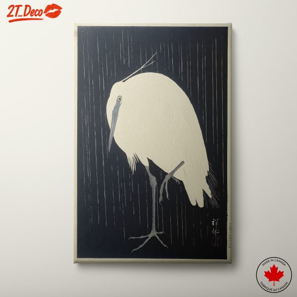 Elegant White Bird on Dark Background