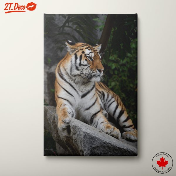 Majestic Tiger Relaxing on Rock