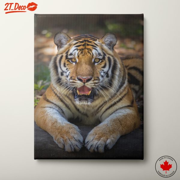 Majestic Tiger Close-Up Wall Art