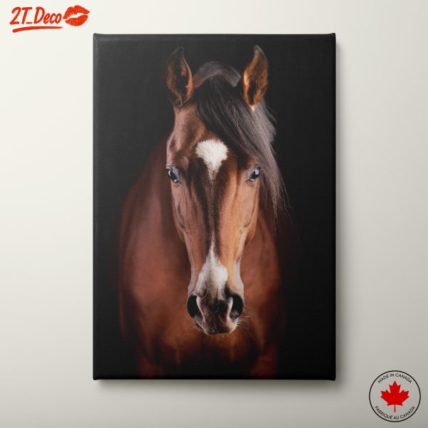 Majestic Horse Portrait in Dark