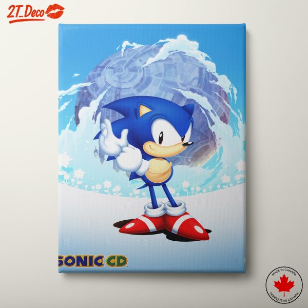 Sonic the Hedgehog Artwork Featuring Iconic Character