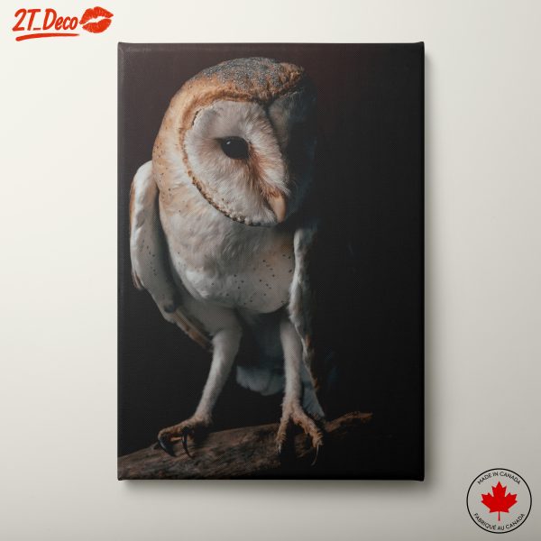 Stunning Barn Owl Wall Art
