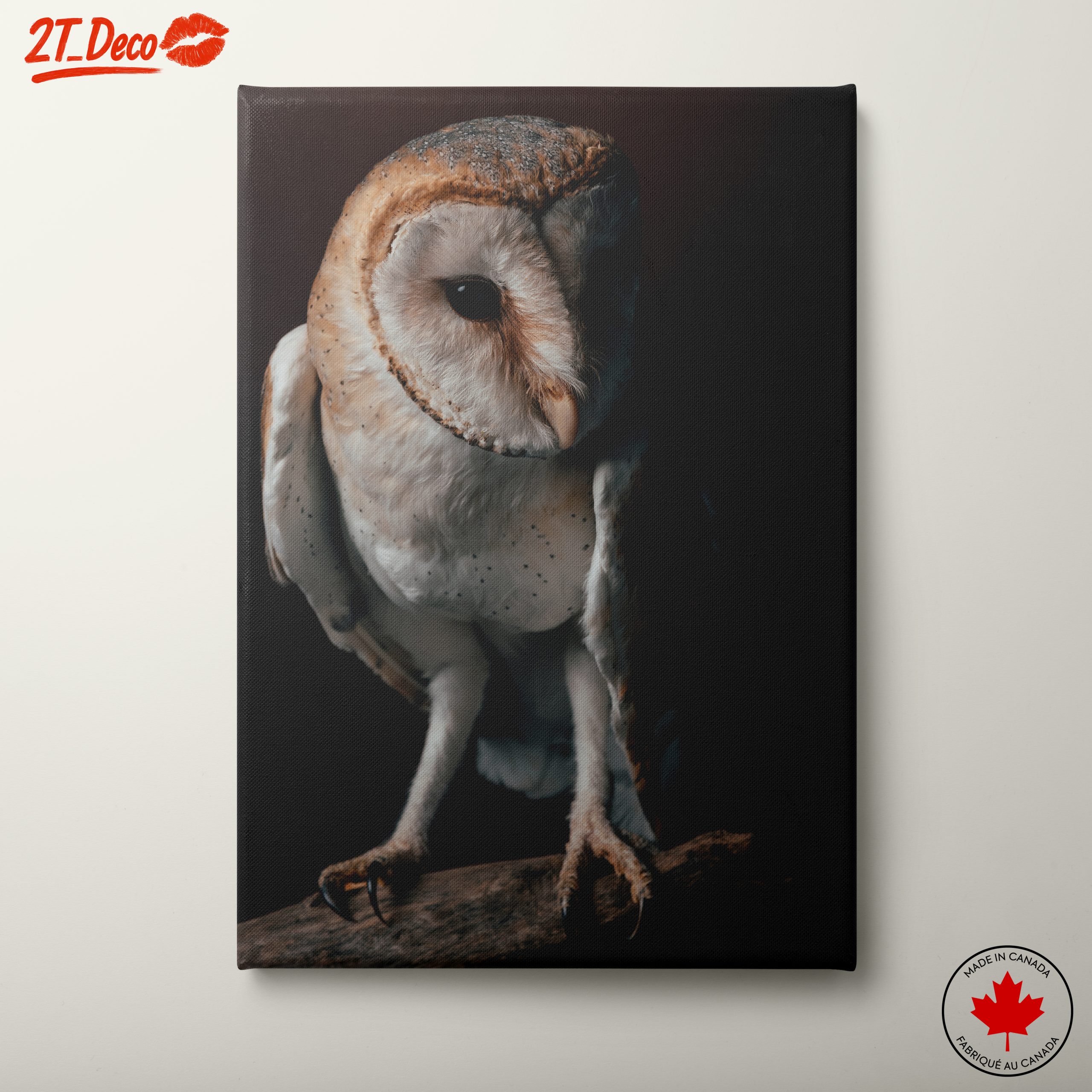 Stunning Barn Owl Wall Art