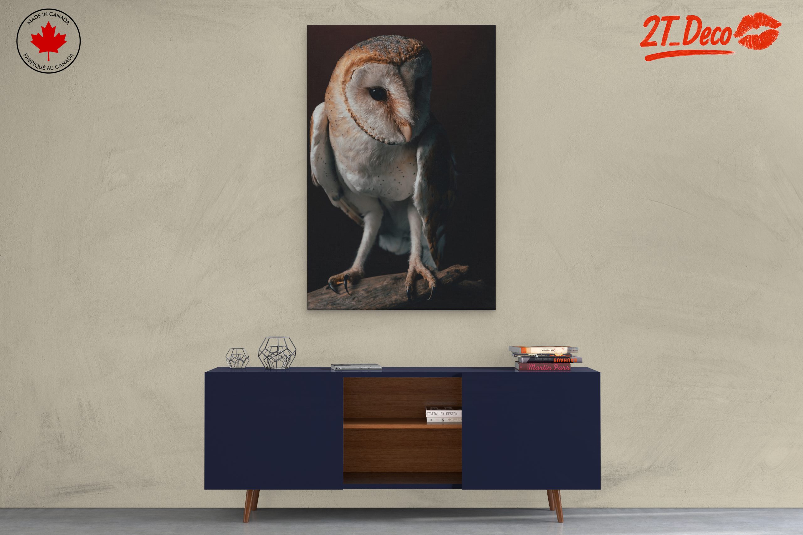 Stunning Barn Owl Wall Art - Image 3