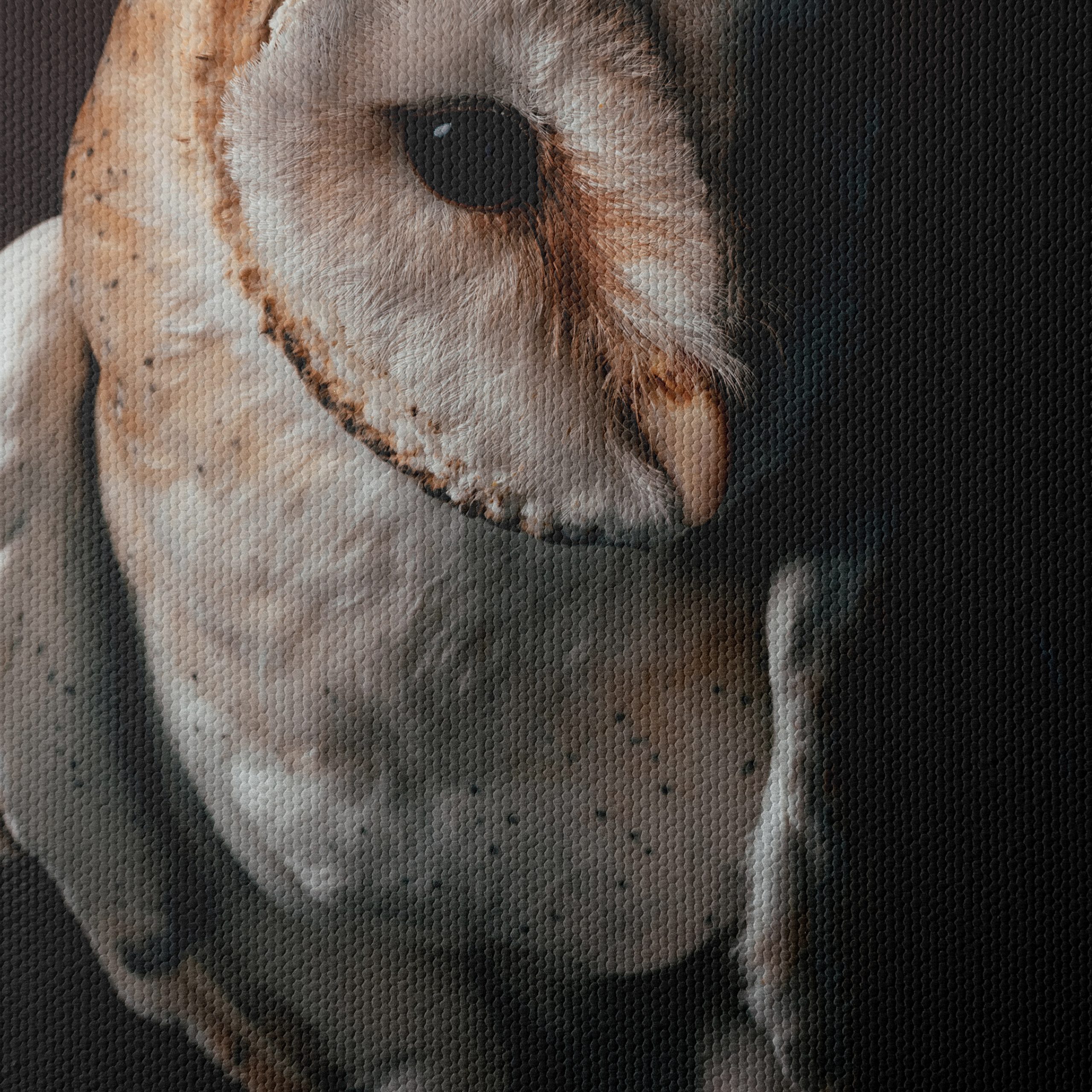 Stunning Barn Owl Wall Art - Image 4