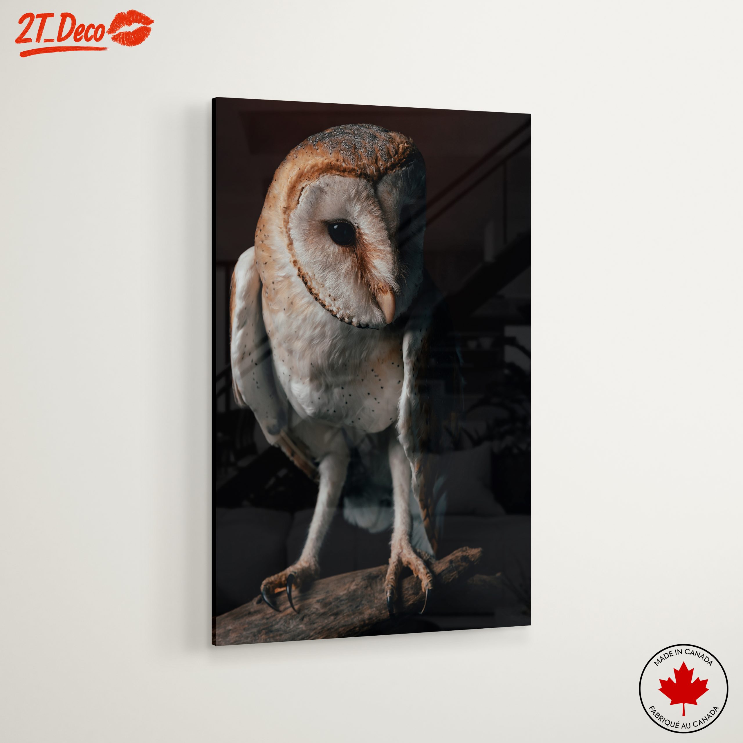 Stunning Barn Owl Wall Art - Image 6