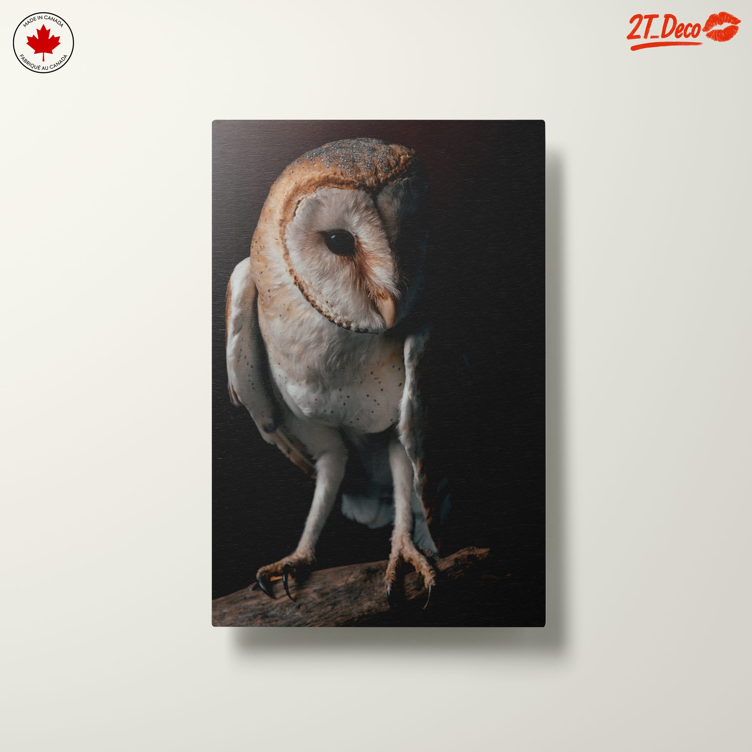 Stunning Barn Owl Wall Art - Image 10
