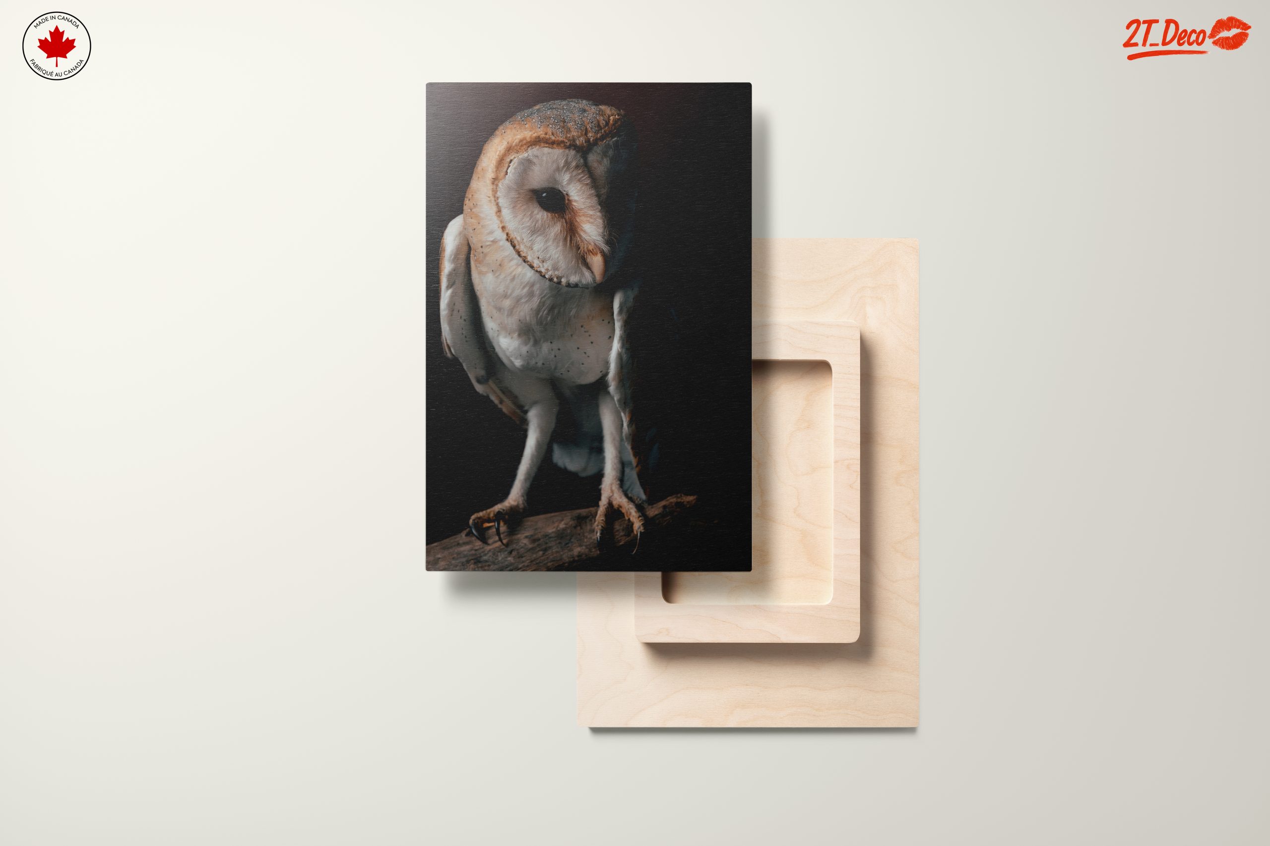 Stunning Barn Owl Wall Art - Image 11