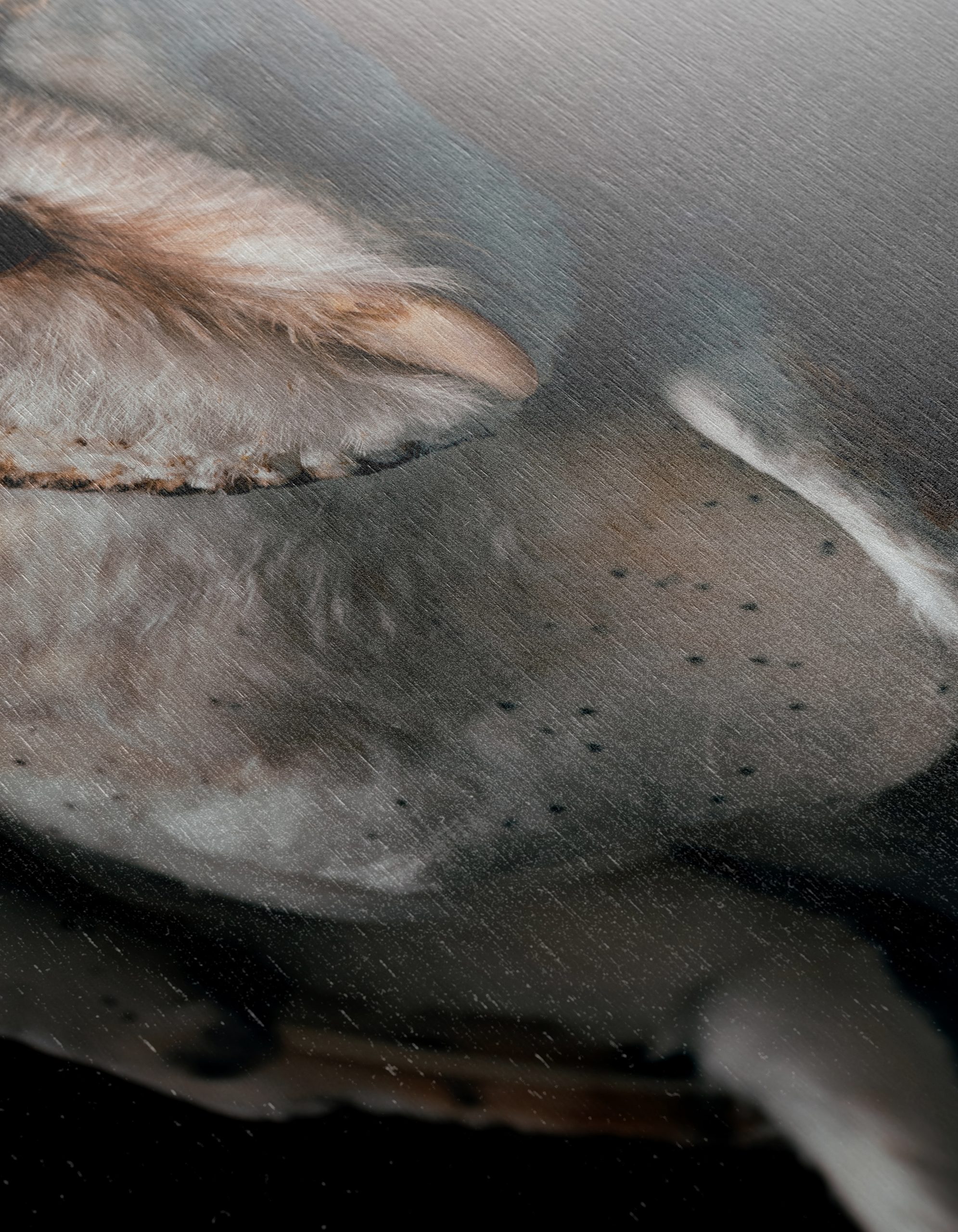 Stunning Barn Owl Wall Art - Image 12