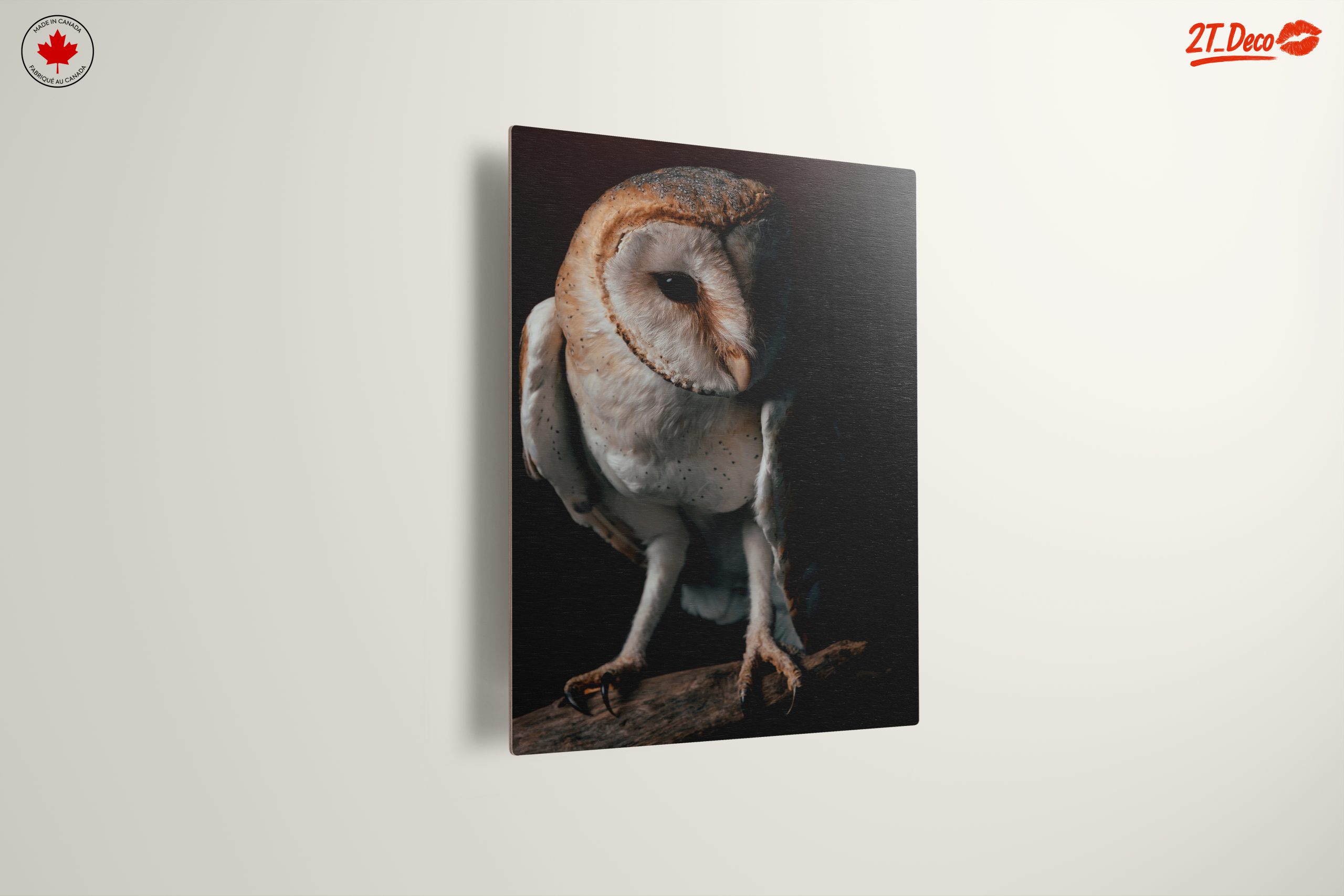 Stunning Barn Owl Wall Art - Image 13